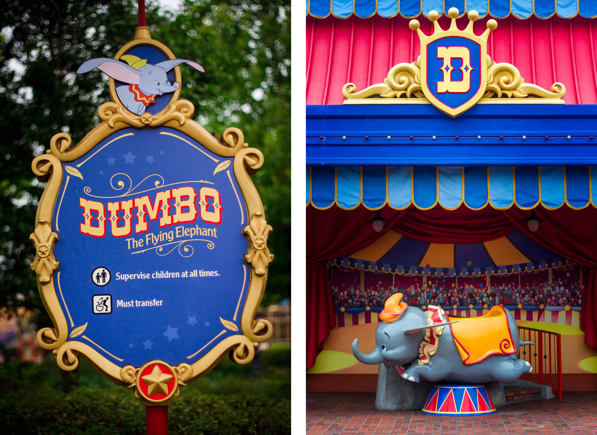 dumbo the flying elephant / disney attractions / magic kingdom photographer