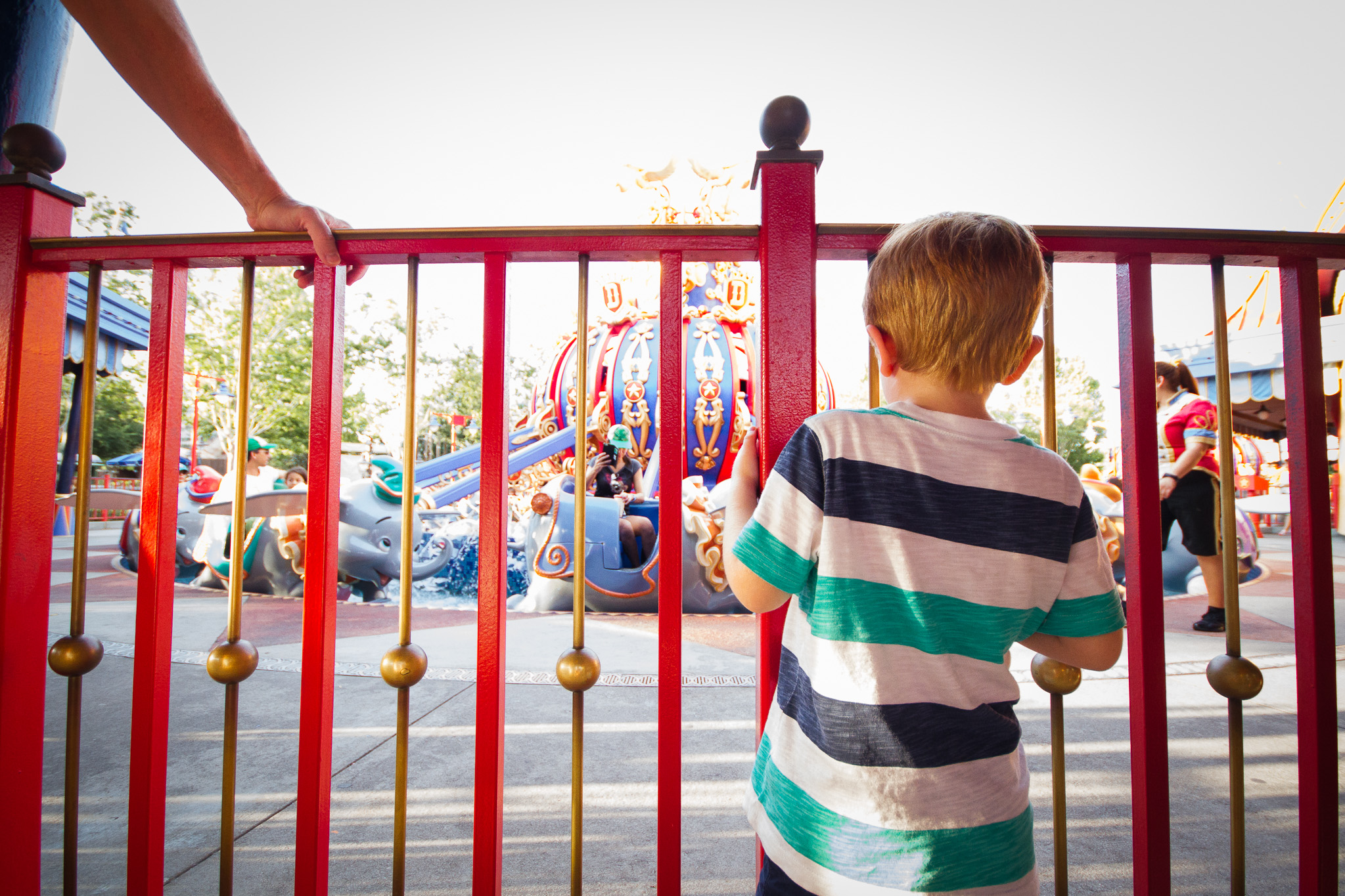 dumbo the flying elephant / disney attractions / magic kingdom photographer