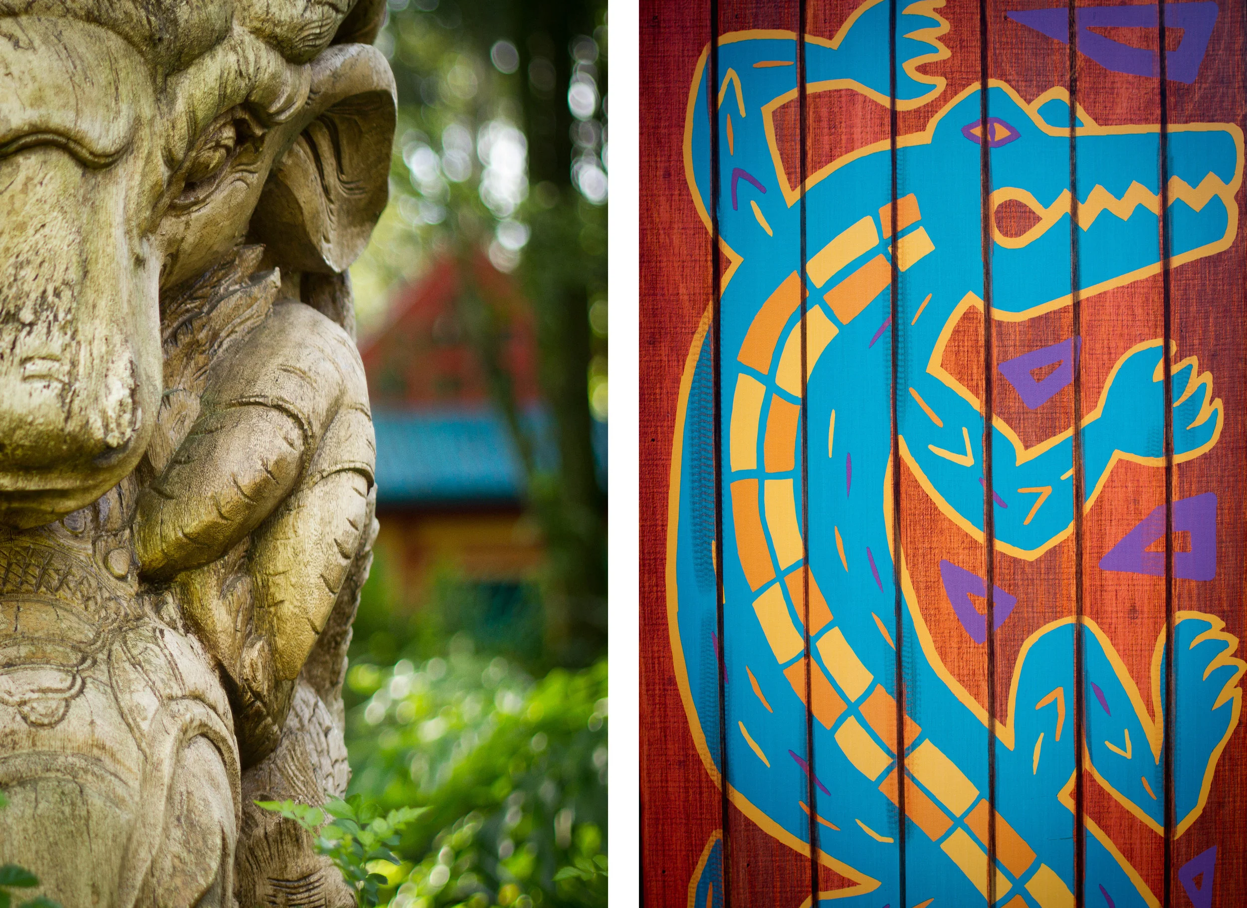 disney details / animal kingdom / disney world photographer