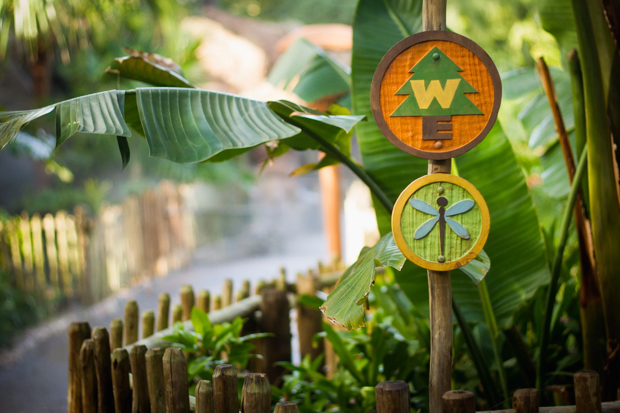 wilderness explorers / animal kingdom / disney world photographer