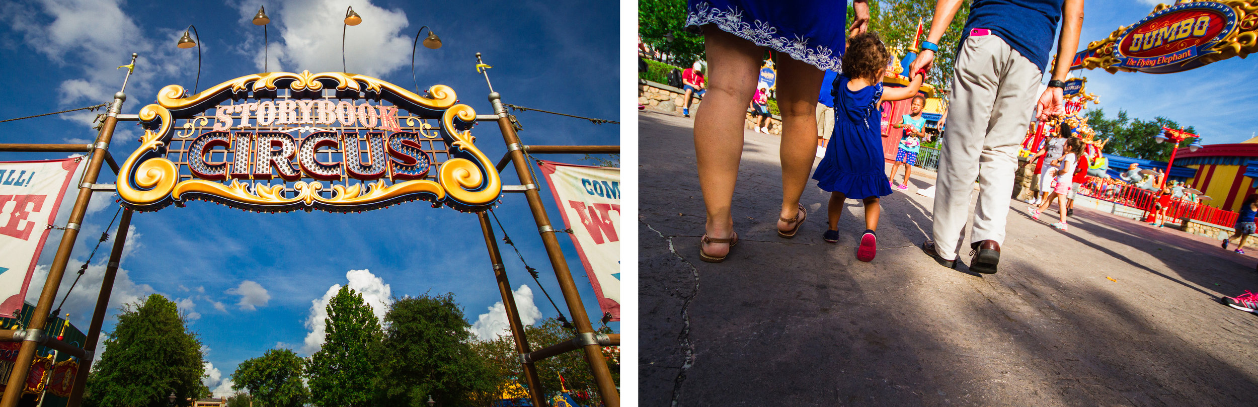 family photos on dumbo / storybook circus / disney world photographer