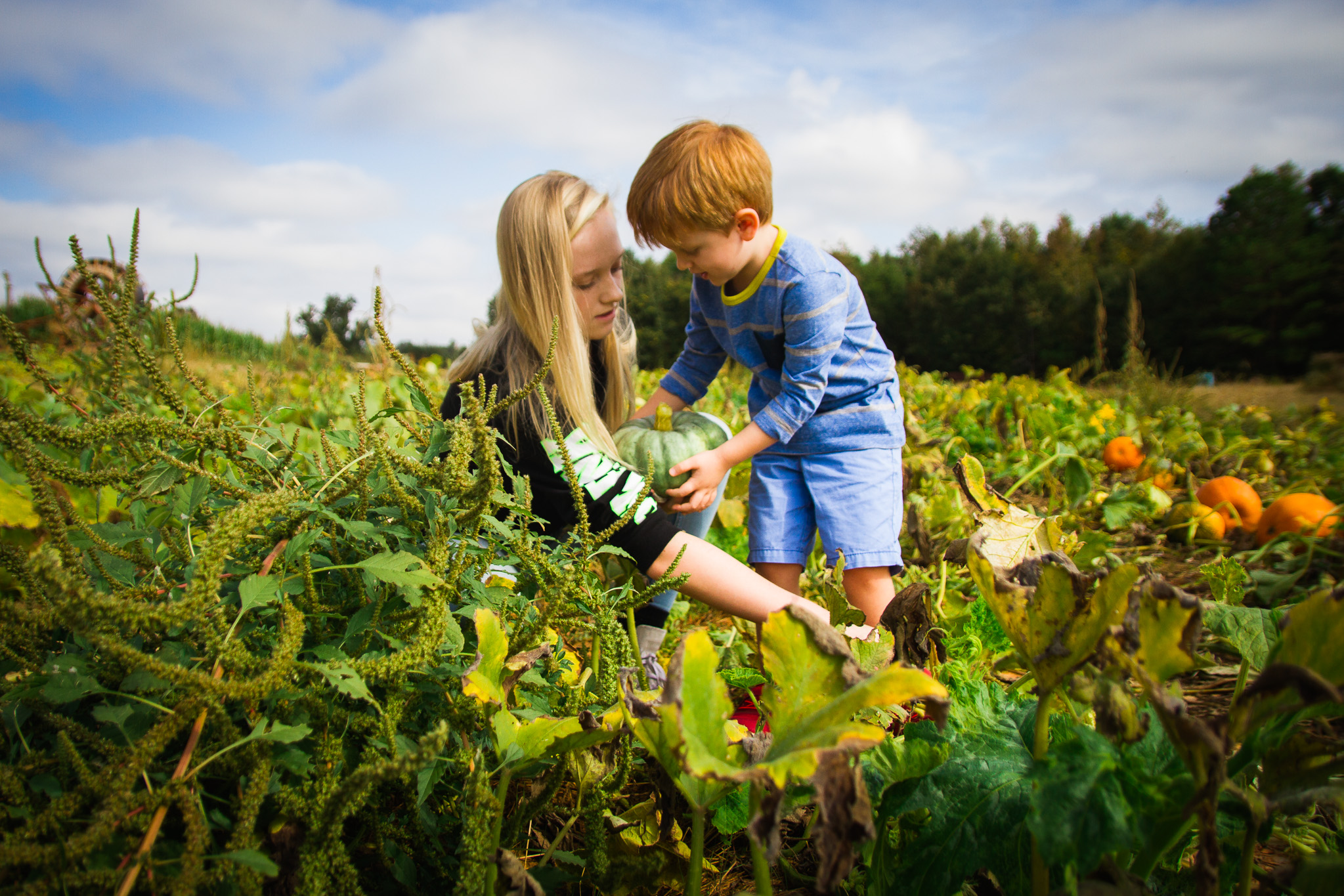 obligatory pumpkin patch / florida lifestyle photographer