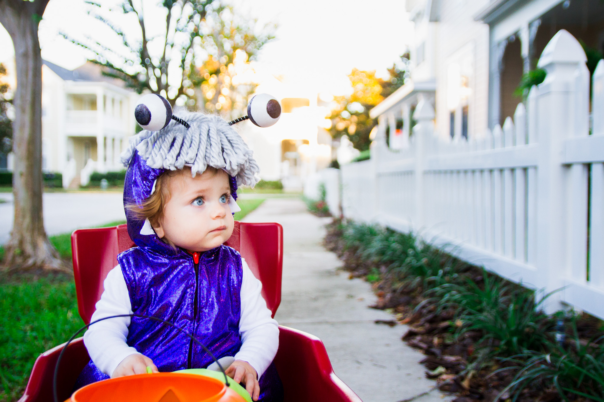 halloween 2016 / celebration florida photographer / celebration florida