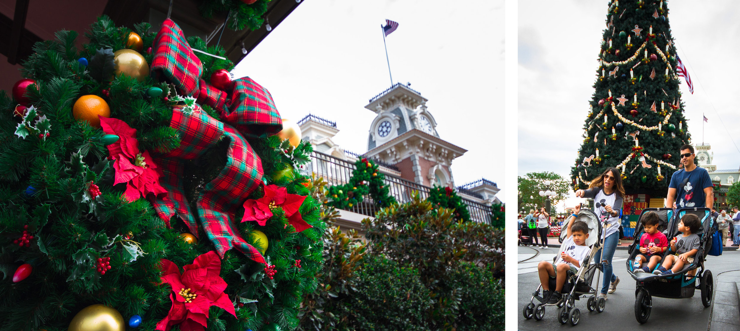 magic kingdom photographer / disney documentary photographer