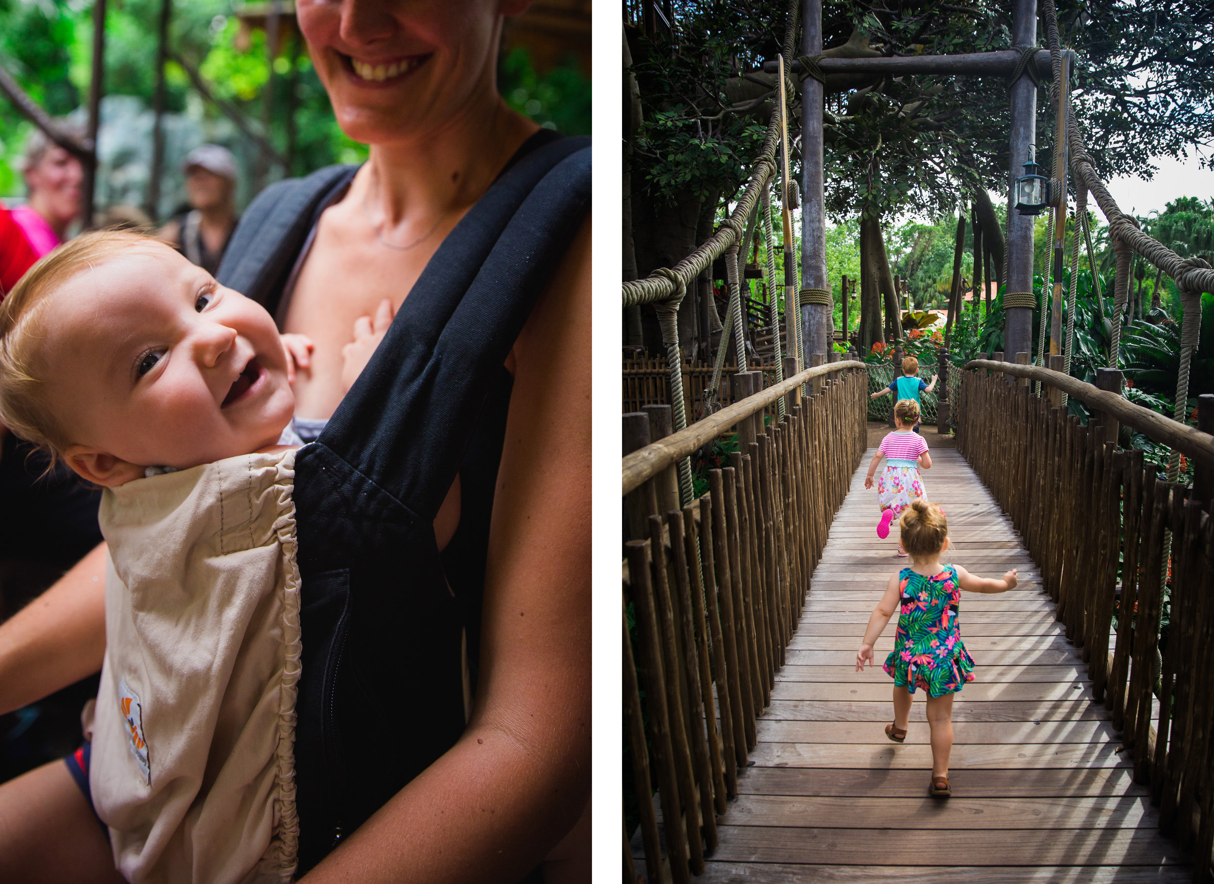 magic kingdom photographer / disney documentary photographer