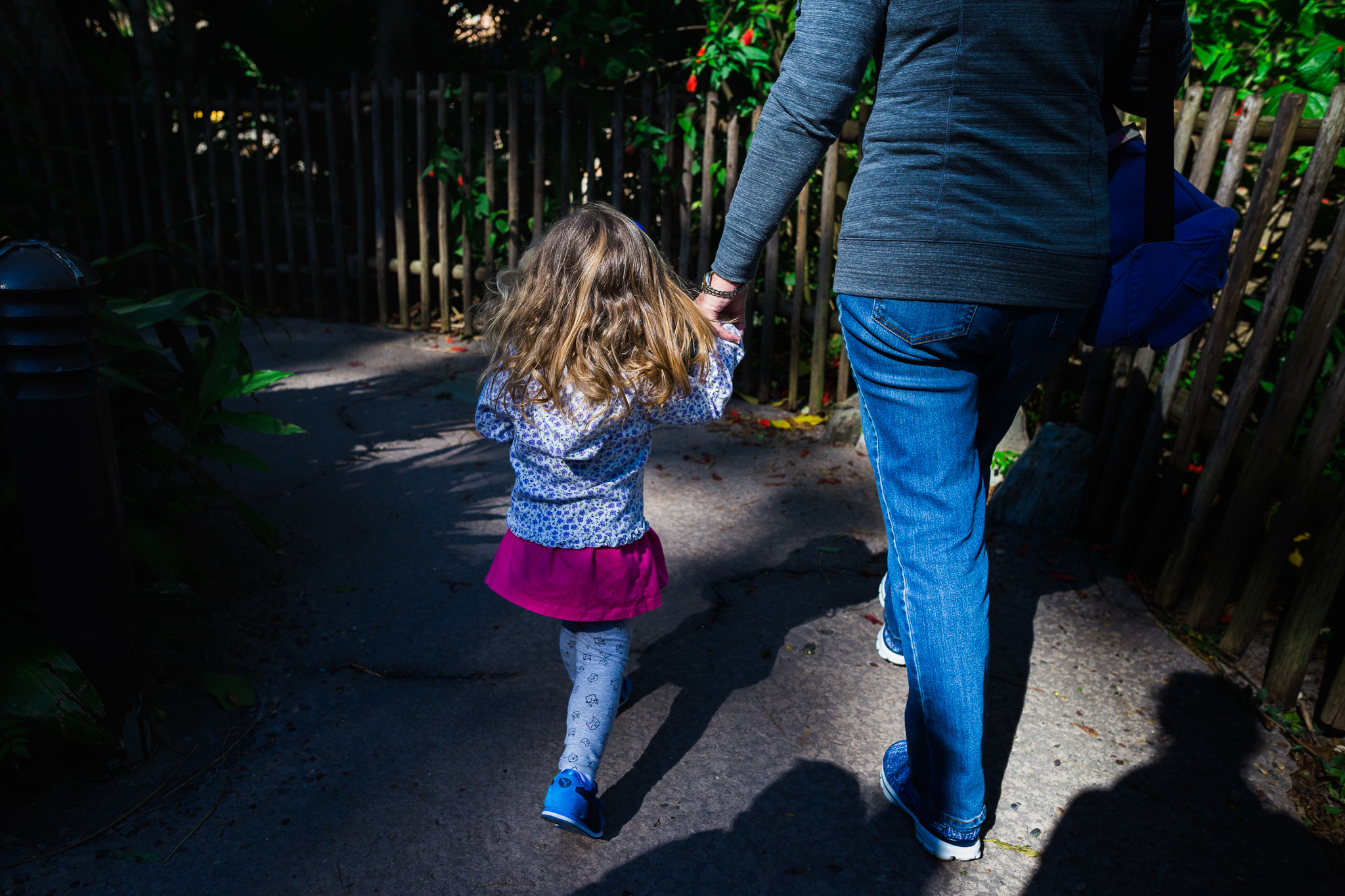 disney documentary photographer / disney family photographer / animal kingdom photography