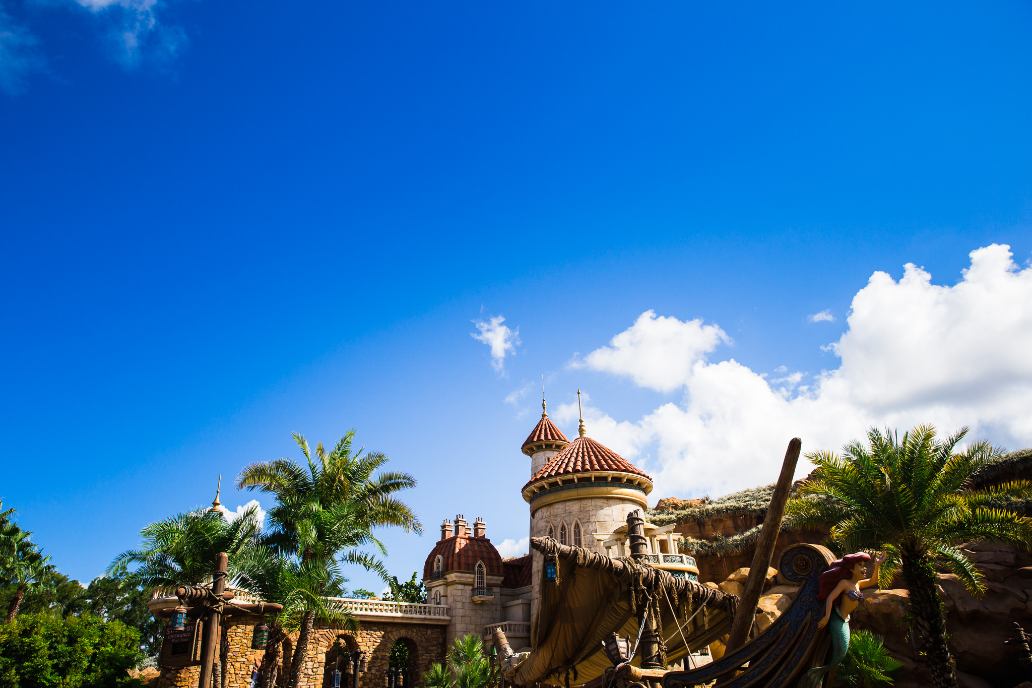 magic kingdom birthday / disney family photographer