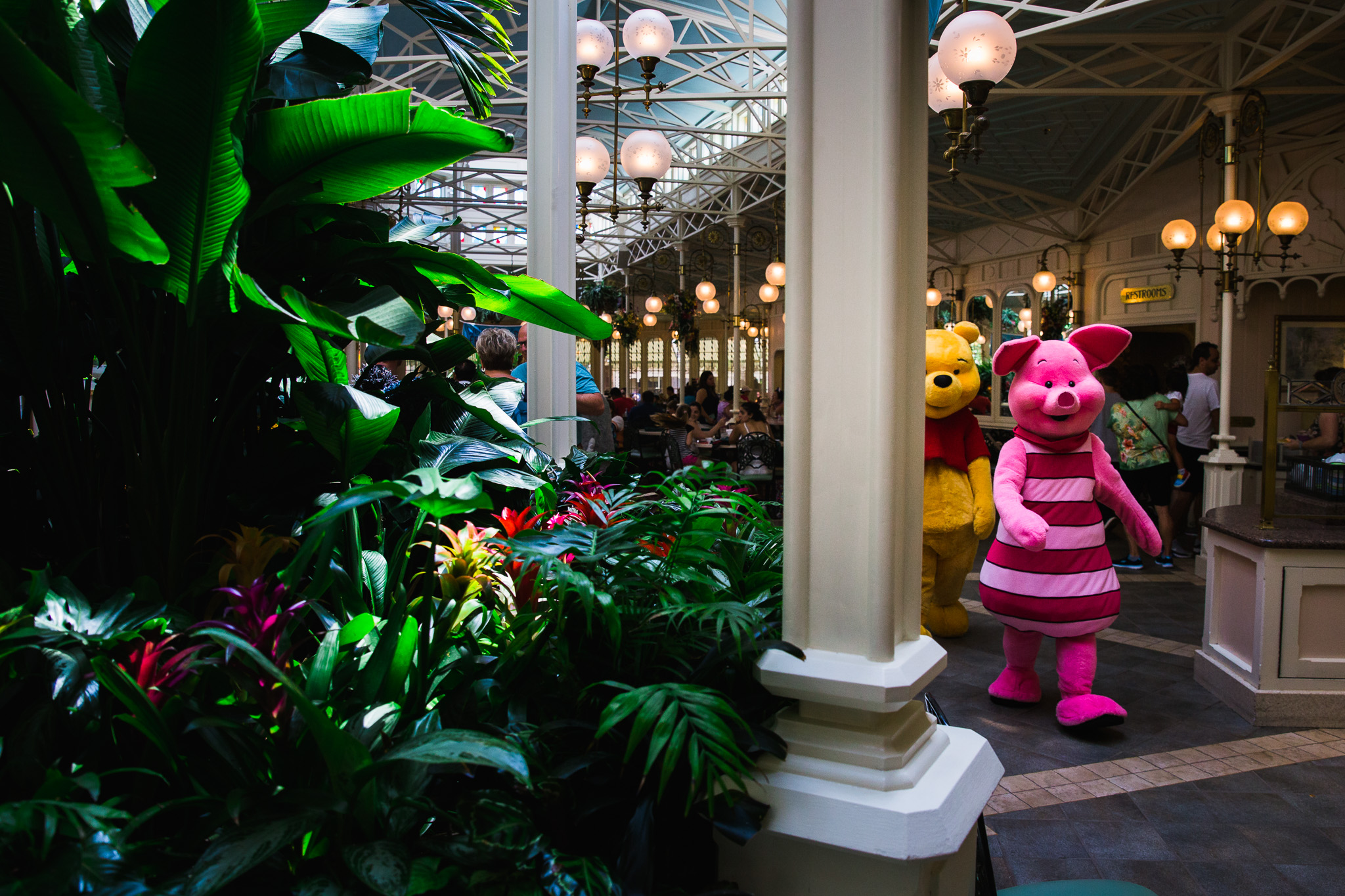 magic kingdom birthday / disney family photographer