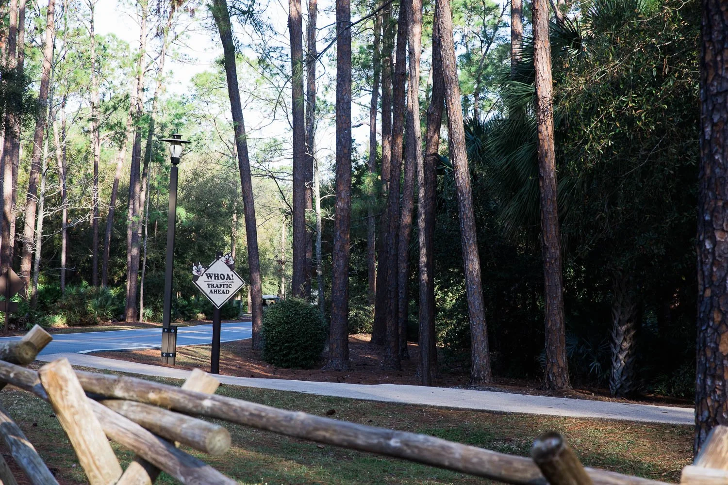 View of the Fort Wilderness road signs from a golf cart.