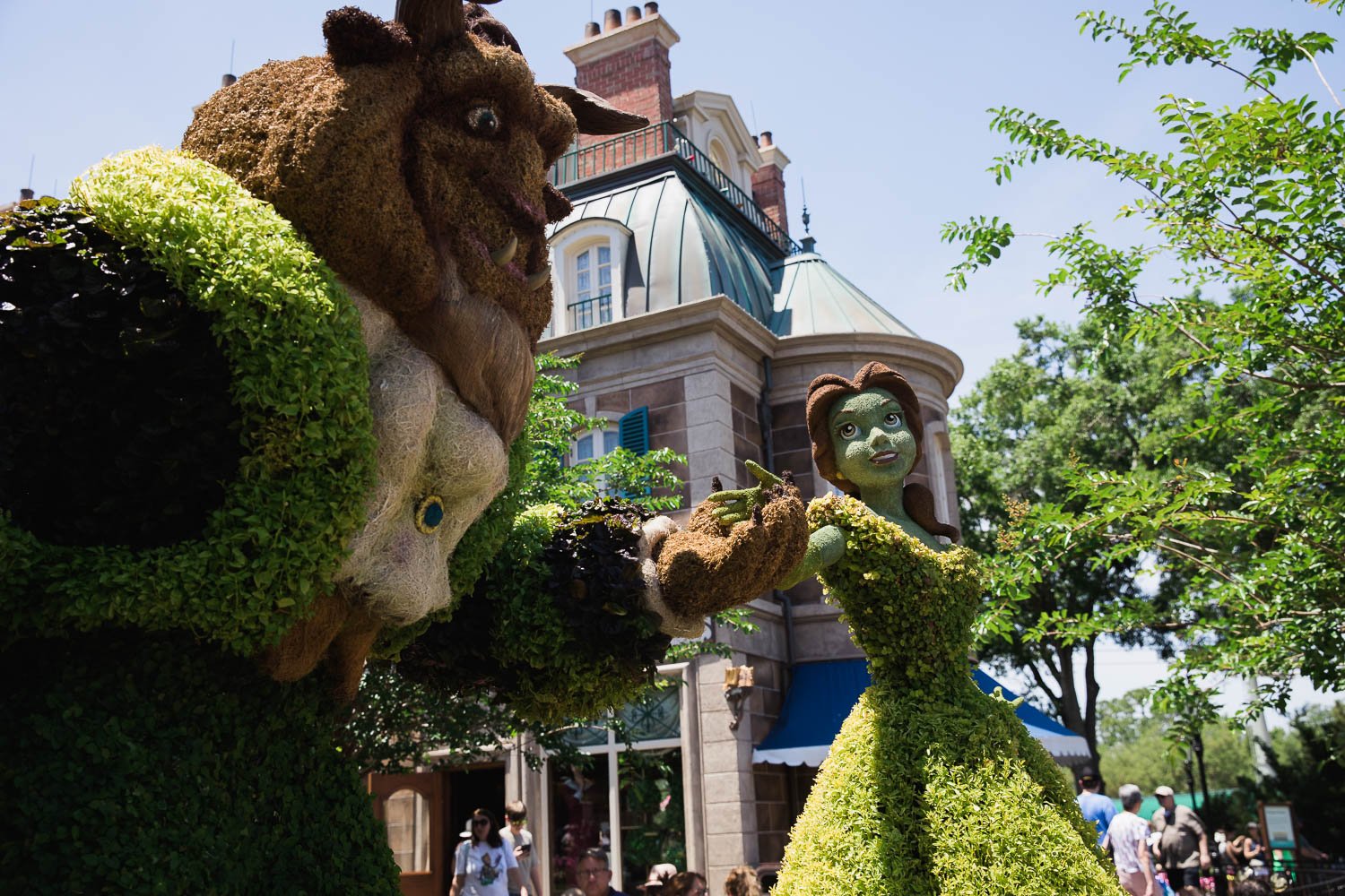 Beauty and the beast topiary in France pavilion at Epcot.
