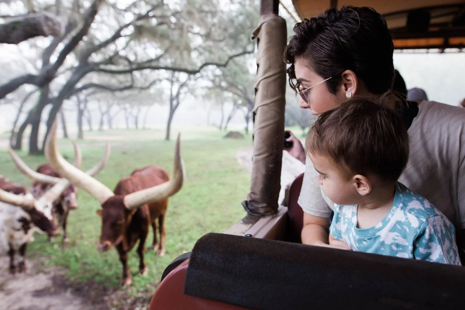 Mother and son look at ankole cattle on Kilimanjaro Safaris.