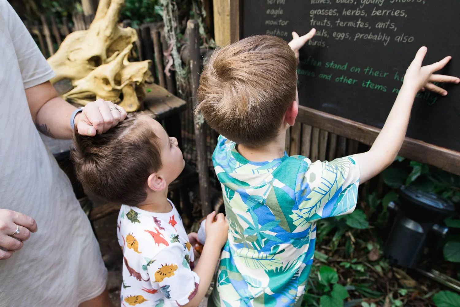 Kids read a chalkboard on Gorilla Falls trail at Animal Kingdom.
