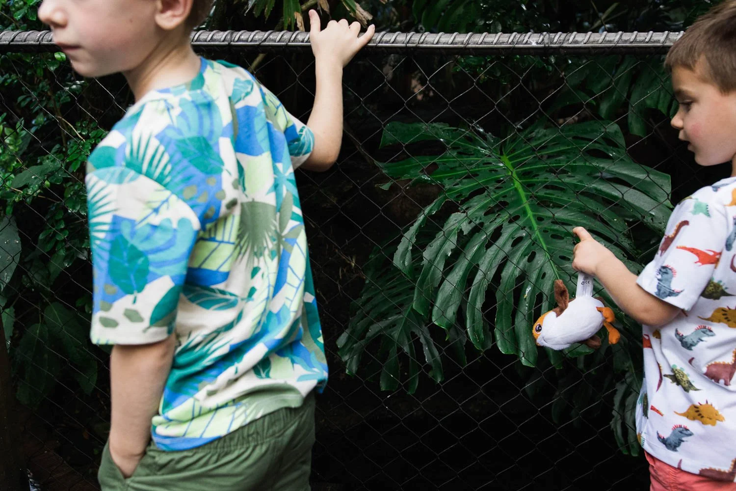 Kids loop fingers through fence at the Animal Kingdom.