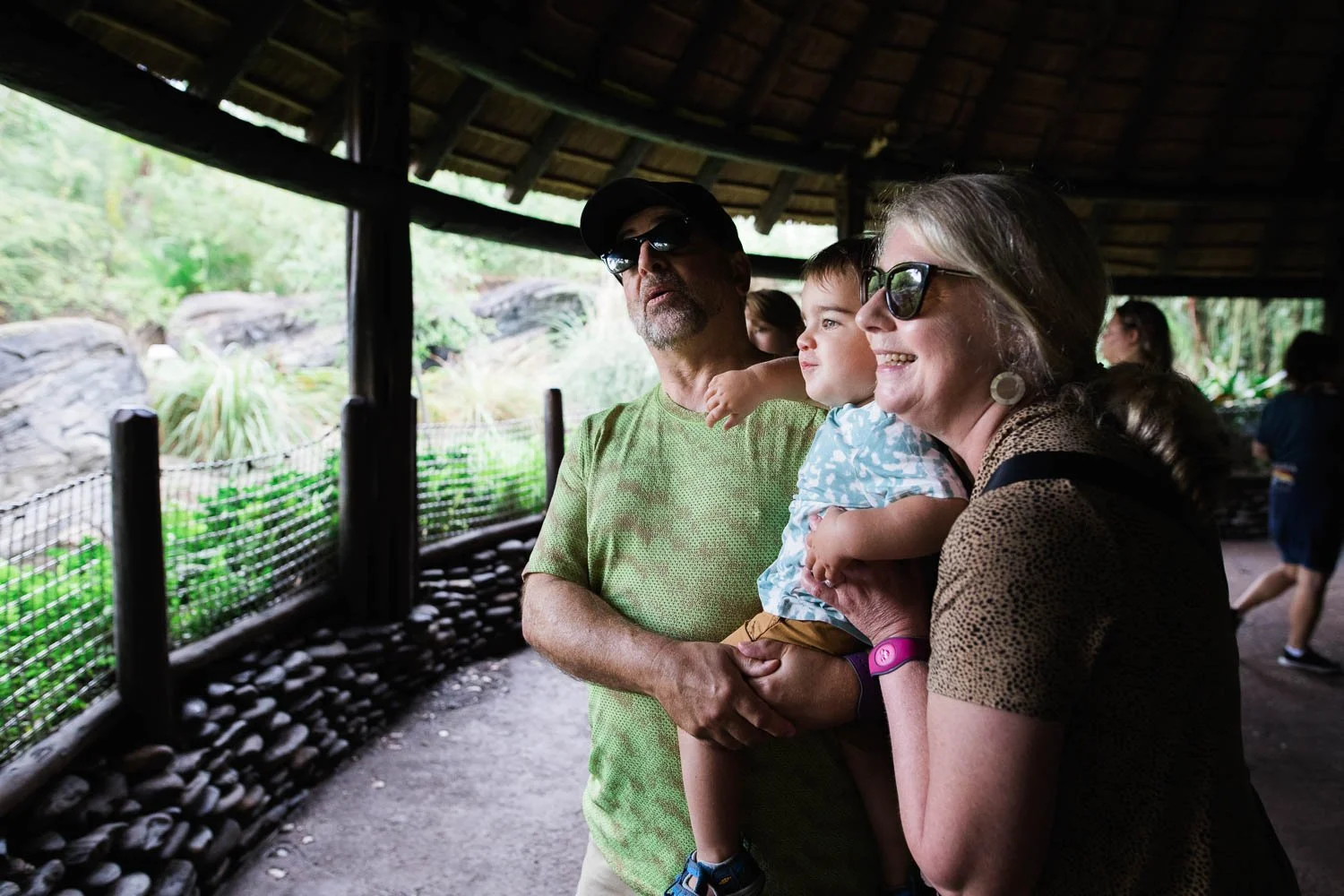 Grandparents search for meerkat with their grandchild at the Animal Kingdom.