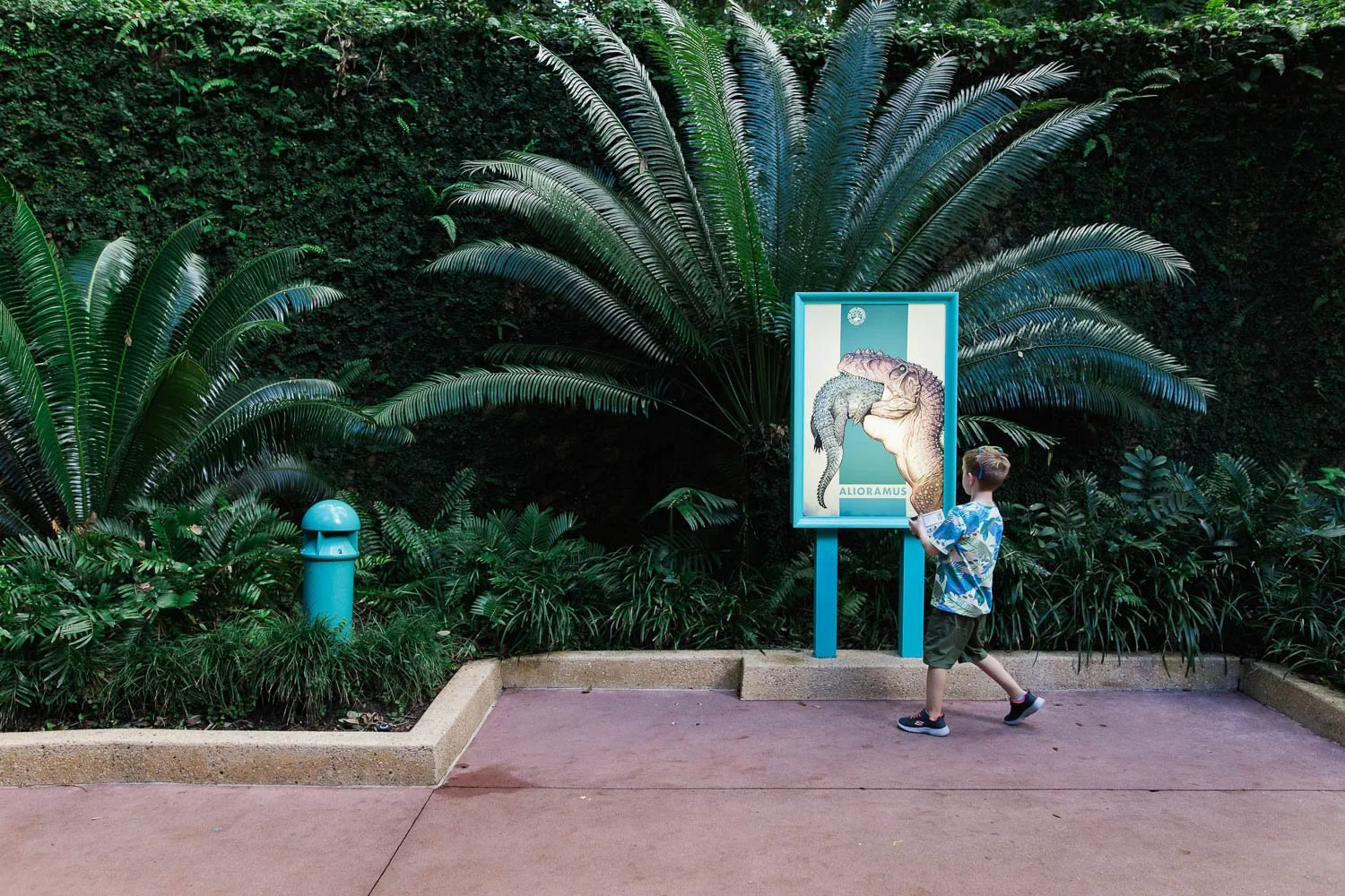 Boy explores Dinoland, USA at the Animal Kingdom.