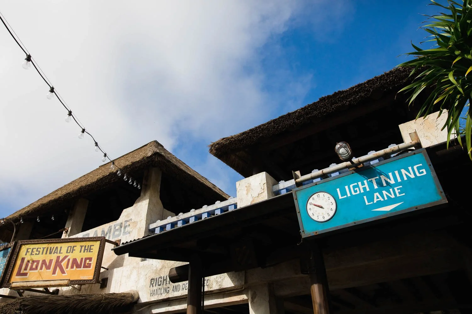 Festival of the Lion King signage at Animal Kingdom theme park.