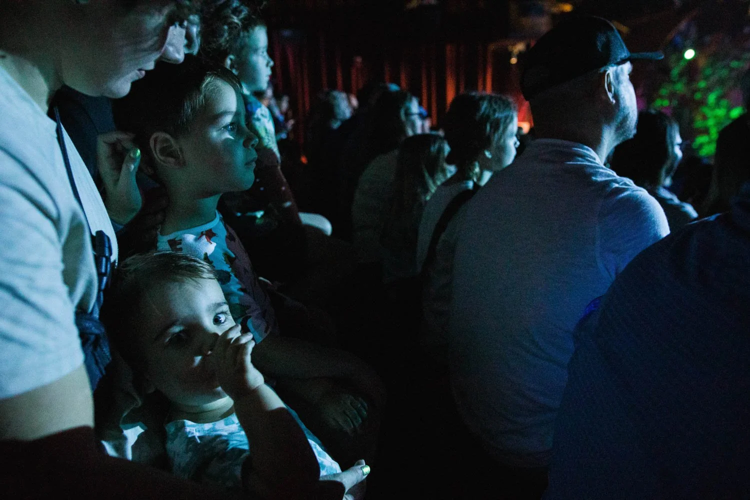 Toddler sucks thumb while watching Festival of the Lion King at the Animal Kingdom.