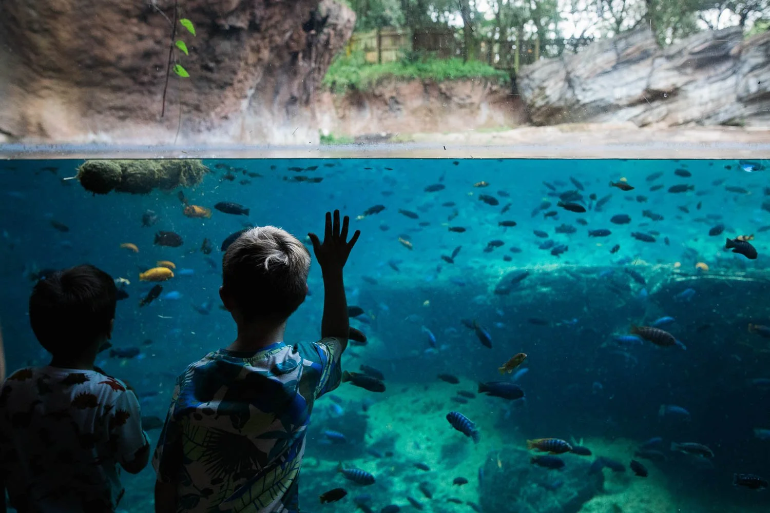 Siblings look for hippos on the Gorilla Falls trail at the Animal Kingdom.