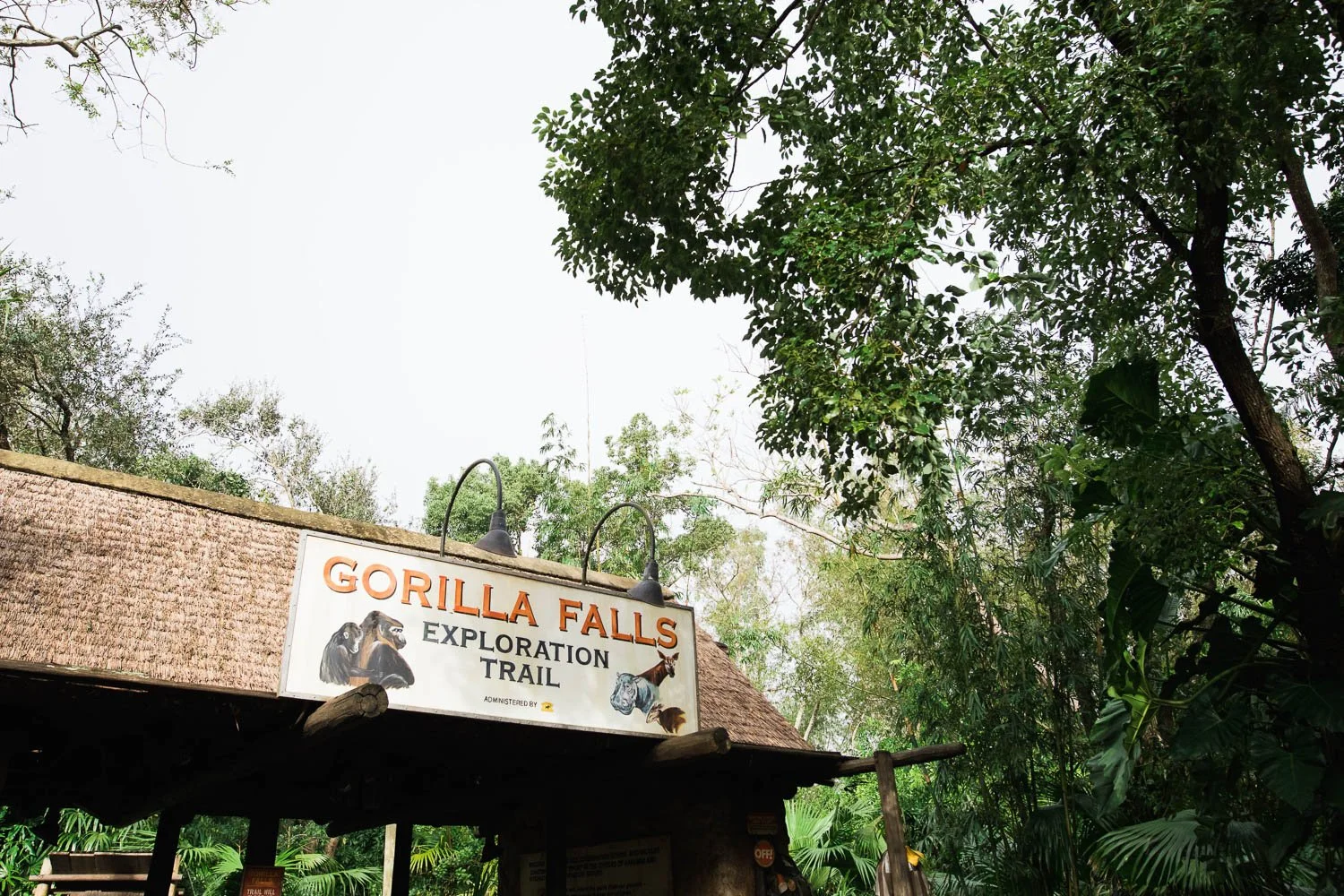 Gorilla Falls signage at the Animal Kingdom theme park.