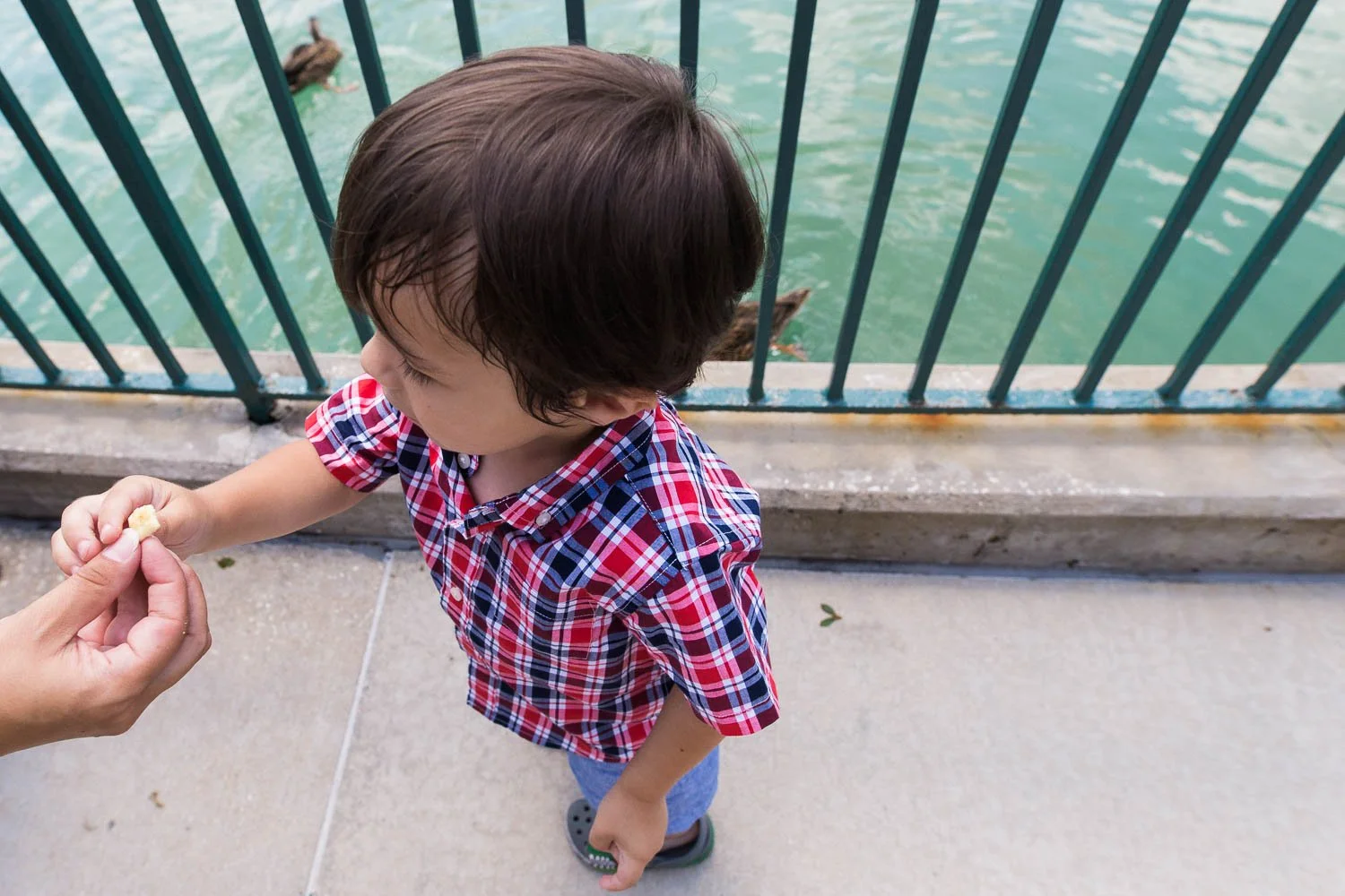 Mom hands son goldfish crackers to feed the ducks at Hollywood Studios. (Copy)