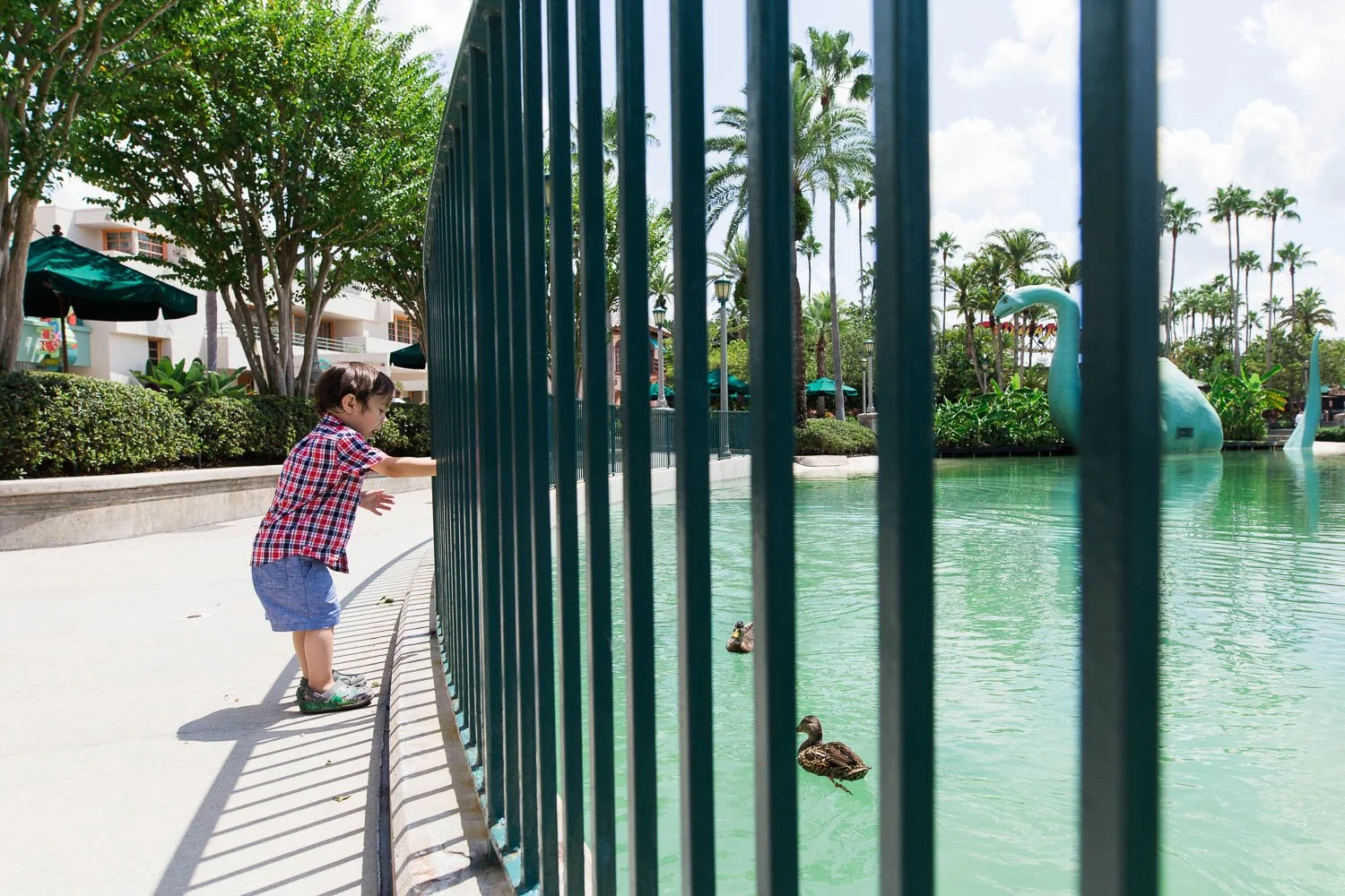 Boy feeds the ducks by Dinosaur Gertie at Hollywood Studios. (Copy)