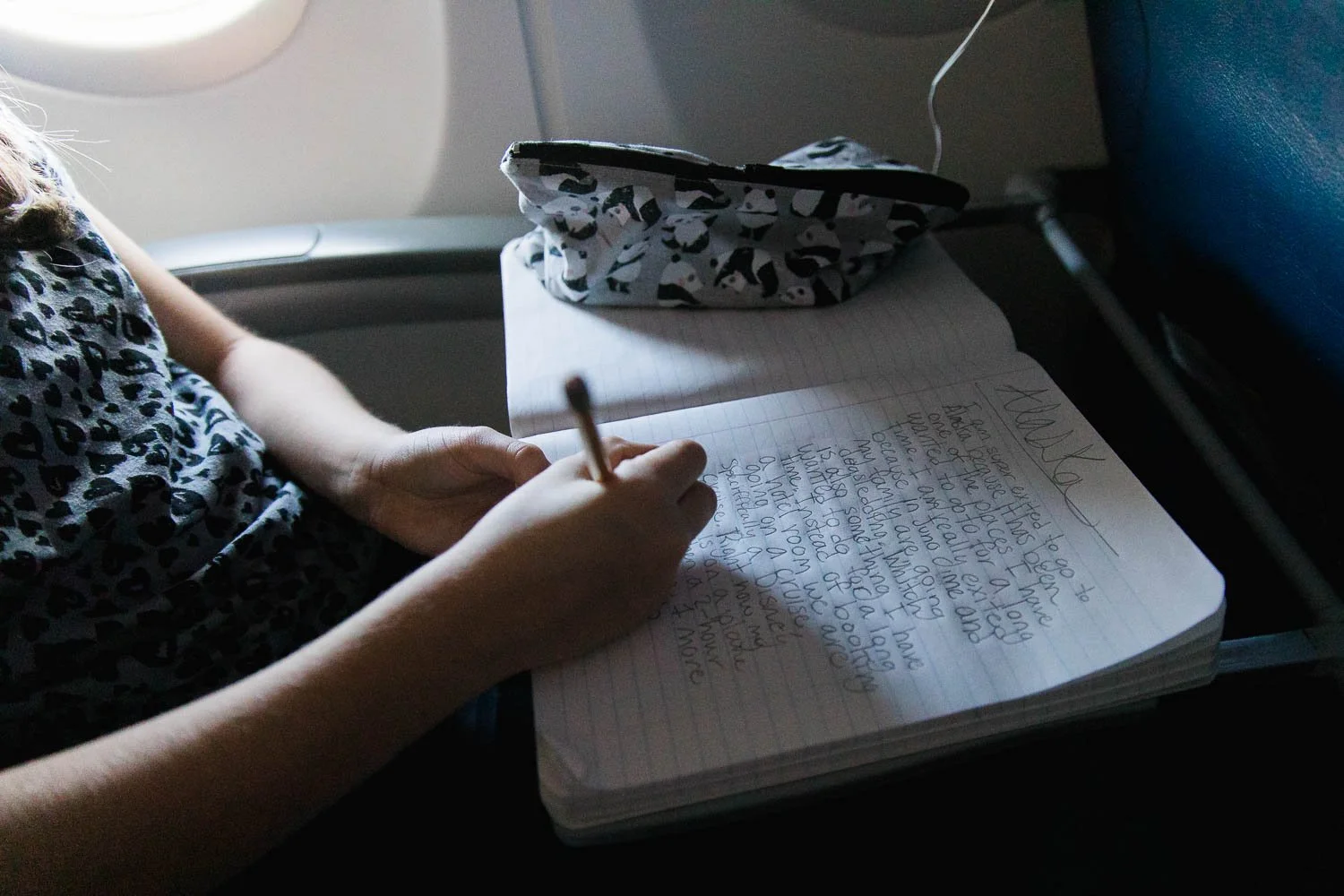 Little girl journals about Alaska on her plane to Alaska.