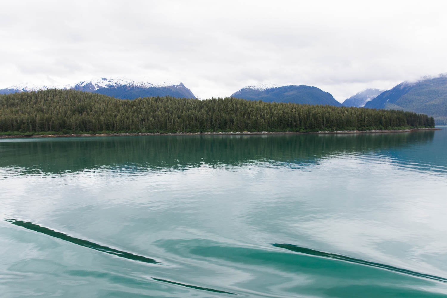 An image of the teal water in Endicott Arm, an Alaska fjord.