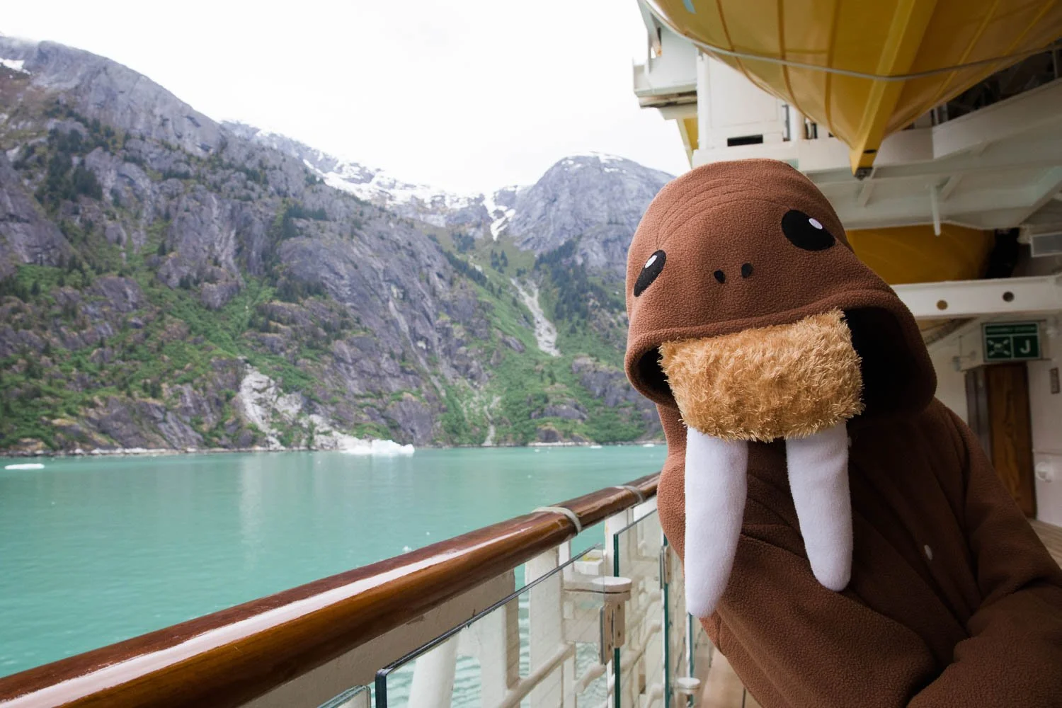 Boy in a walrus onesie takes in the sights of Stikine icecap in Alaska.