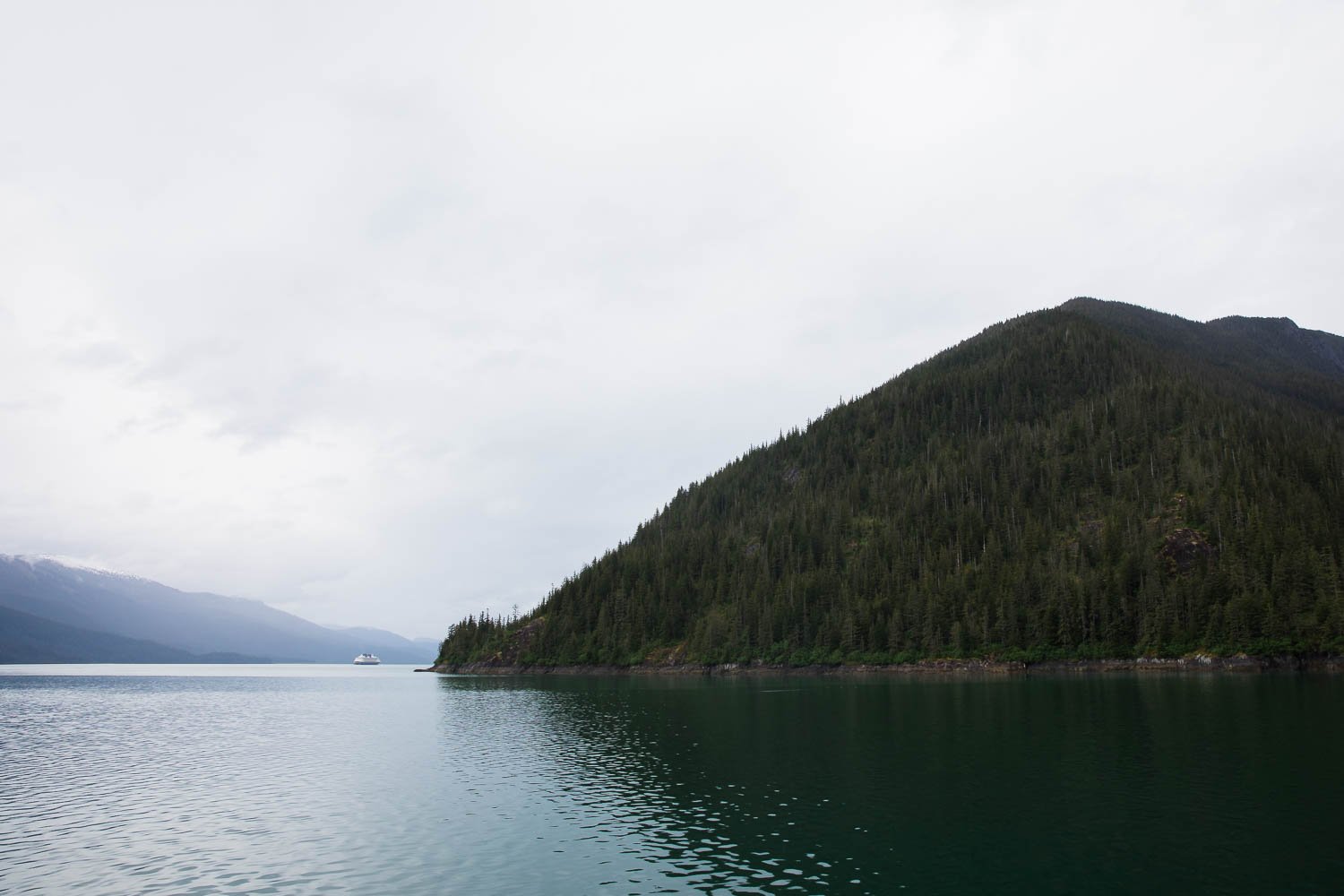 DIsney Wonder cruise ship sails through Alaskan fjord, looking tiny.