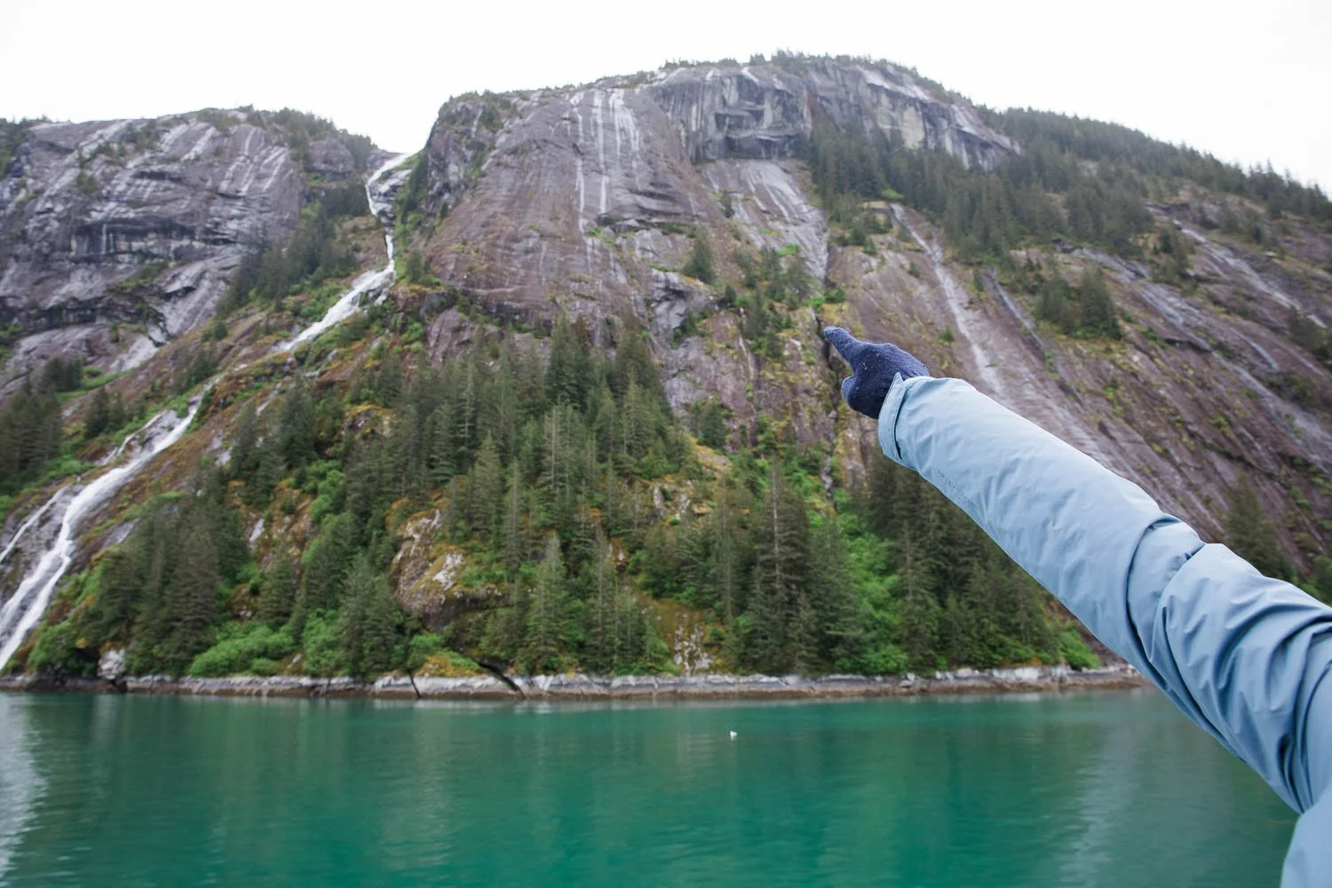 Man points out wildlife by a cascade in Alaska.