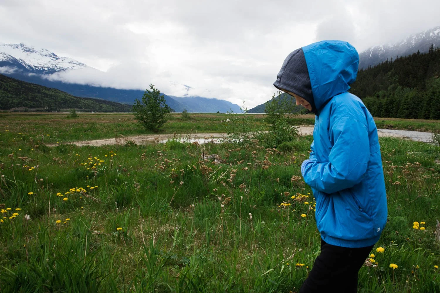 Boy walks through a field of flowers in Skagway, Alaska.