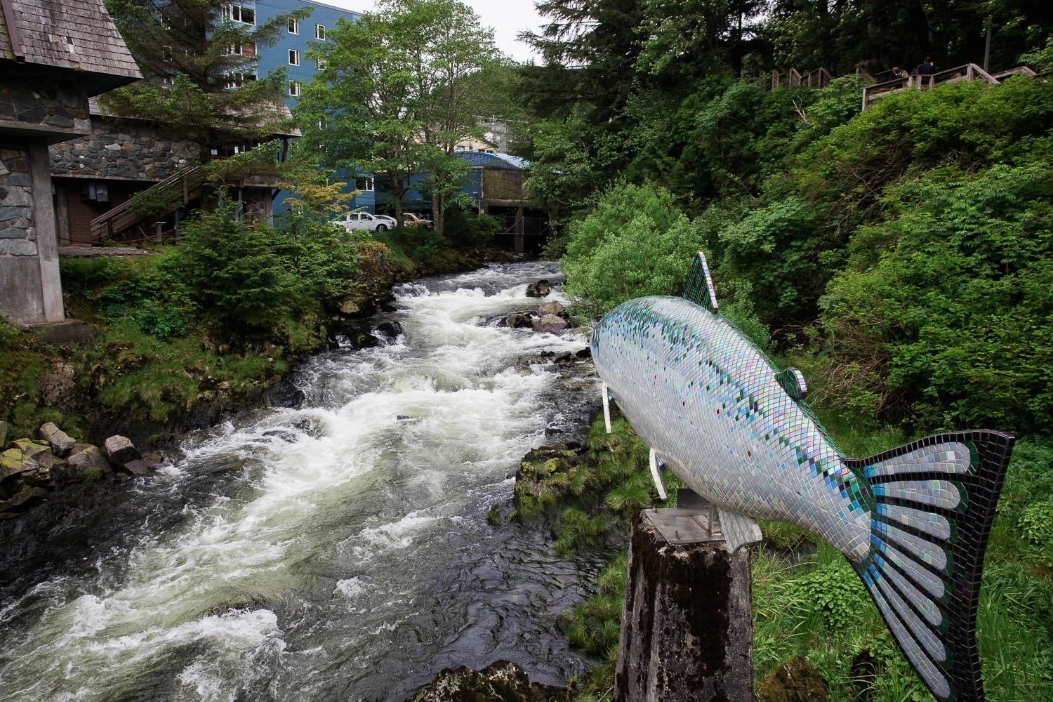 Disney-Wonder-Ketchikan-Alaska-10.jpg