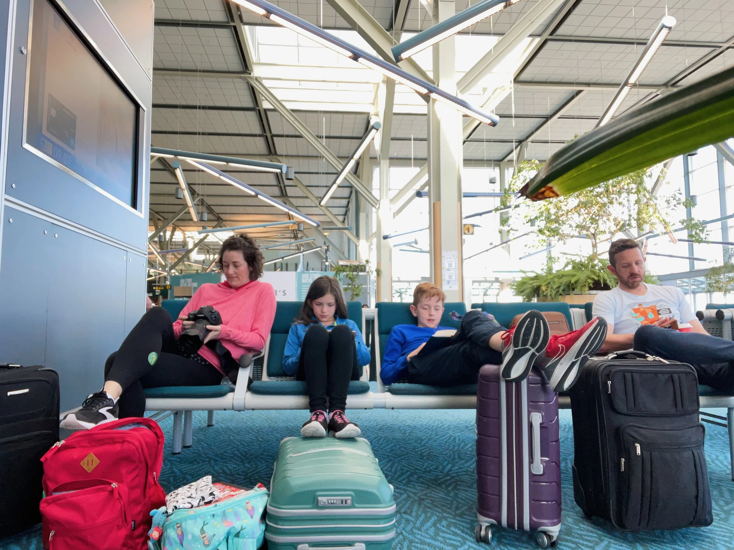 iPhone2025_06 - 300.jpeg