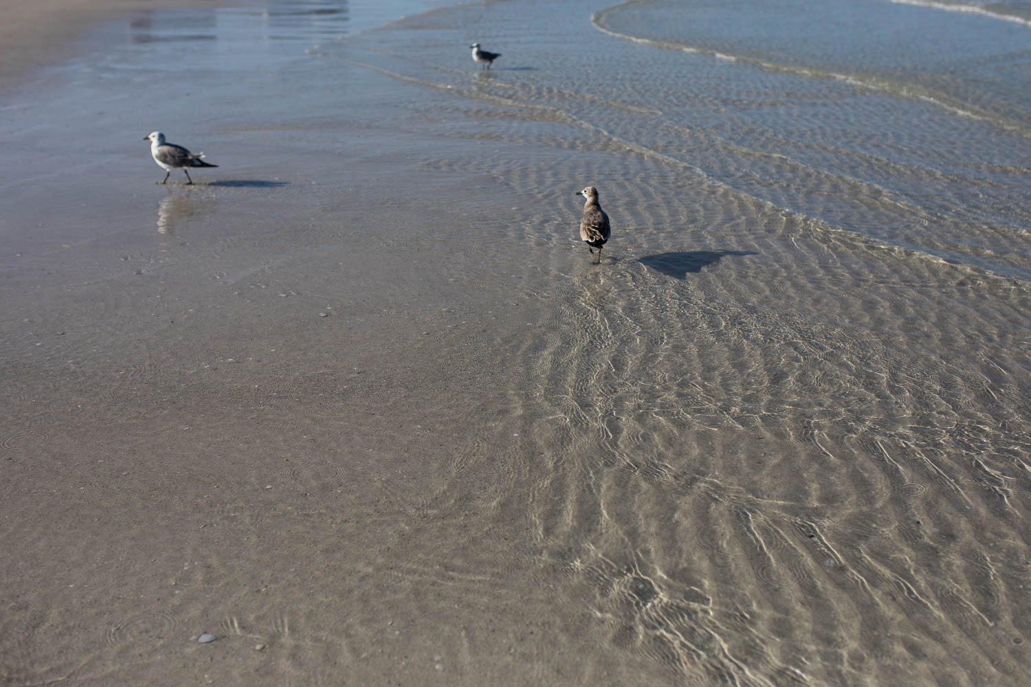 clearwater_beach_hilton_hiatus-4.jpg