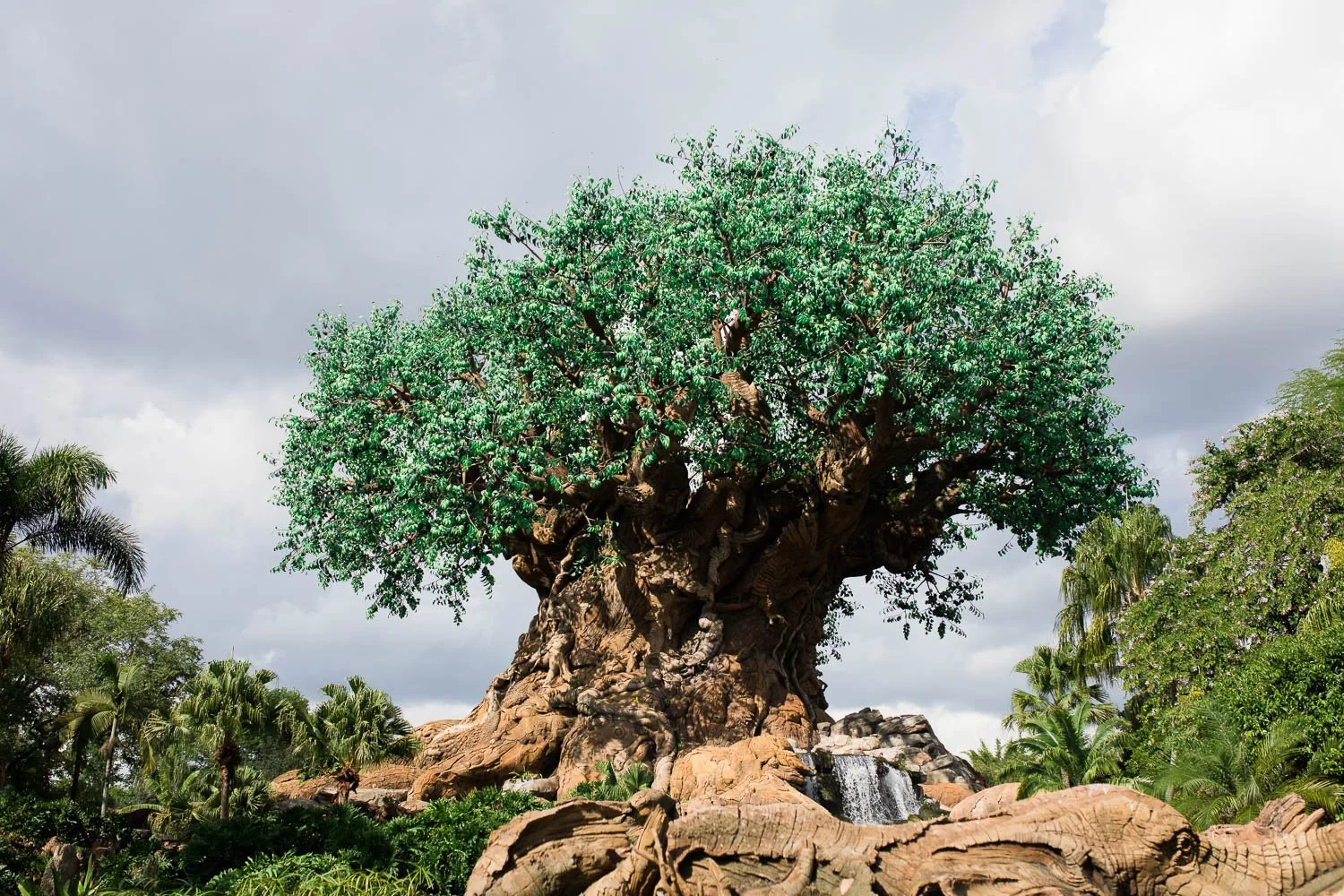 Tree of Life at the Animal Kingdom.