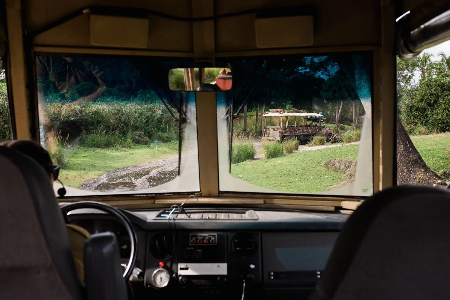 View from the driver's seat of the Kilimanjaro Safari at the Animal Kingdom.