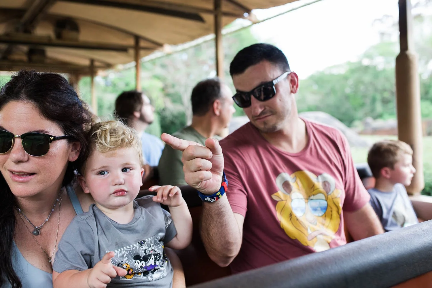 Kilimanjaro Safaris at the animal Kingdom.