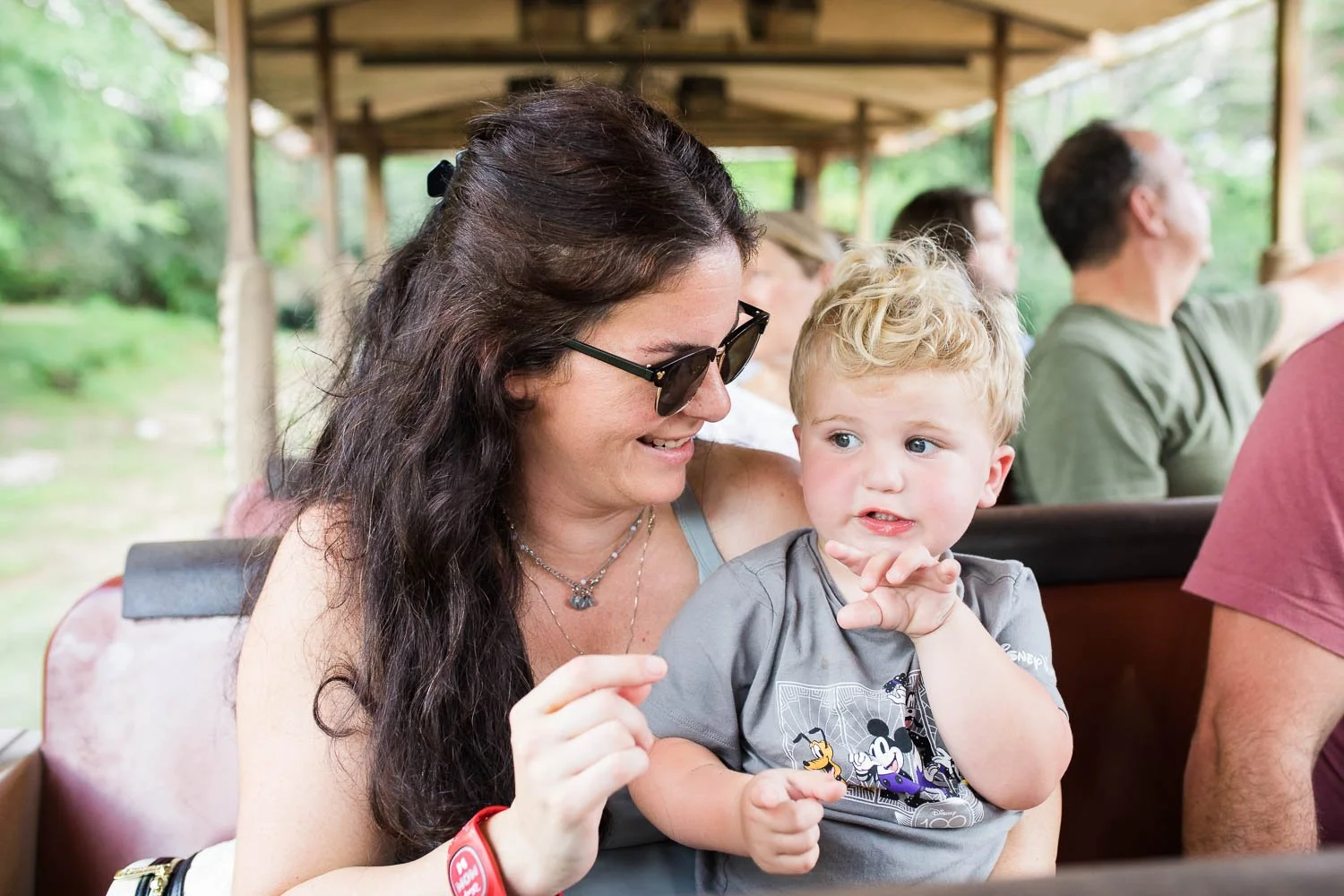 Kilimanjaro Safaris at the Animal Kingdom.