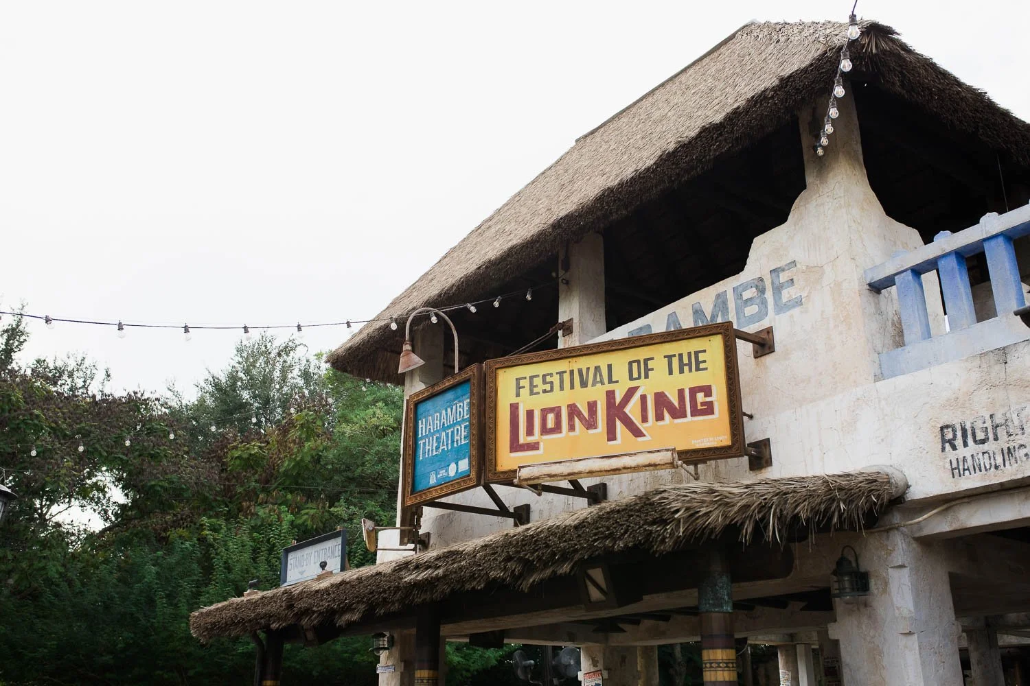 Festival of the Lion King signage at the Animal Kingdom.