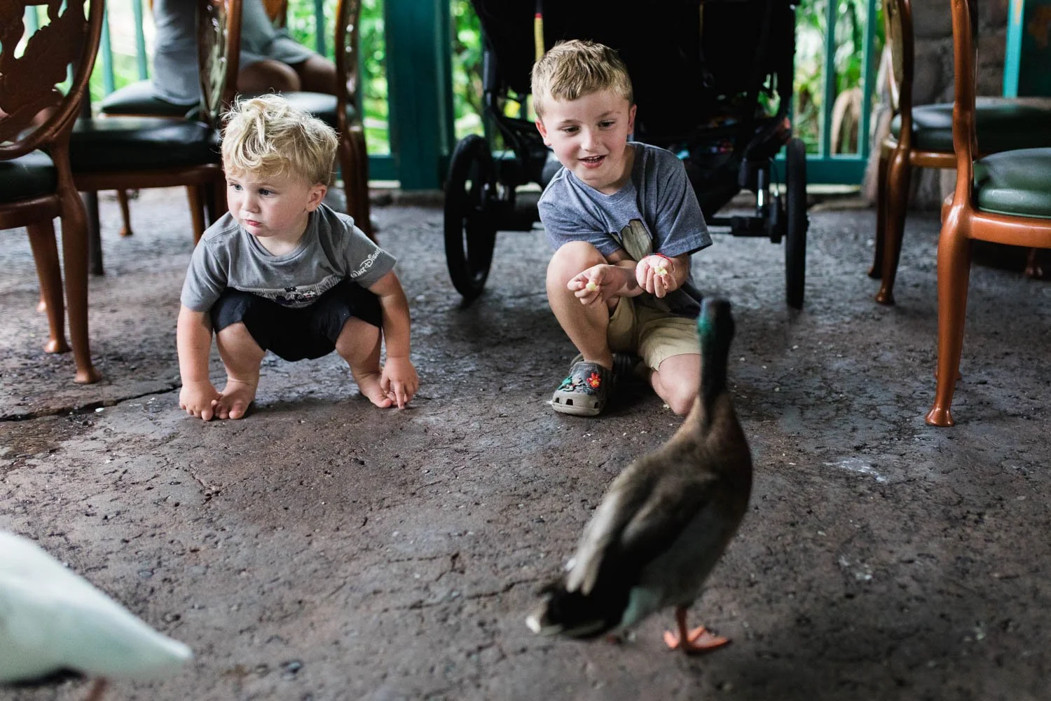 Brothers feed the ducks at Flame Tree BBQ.