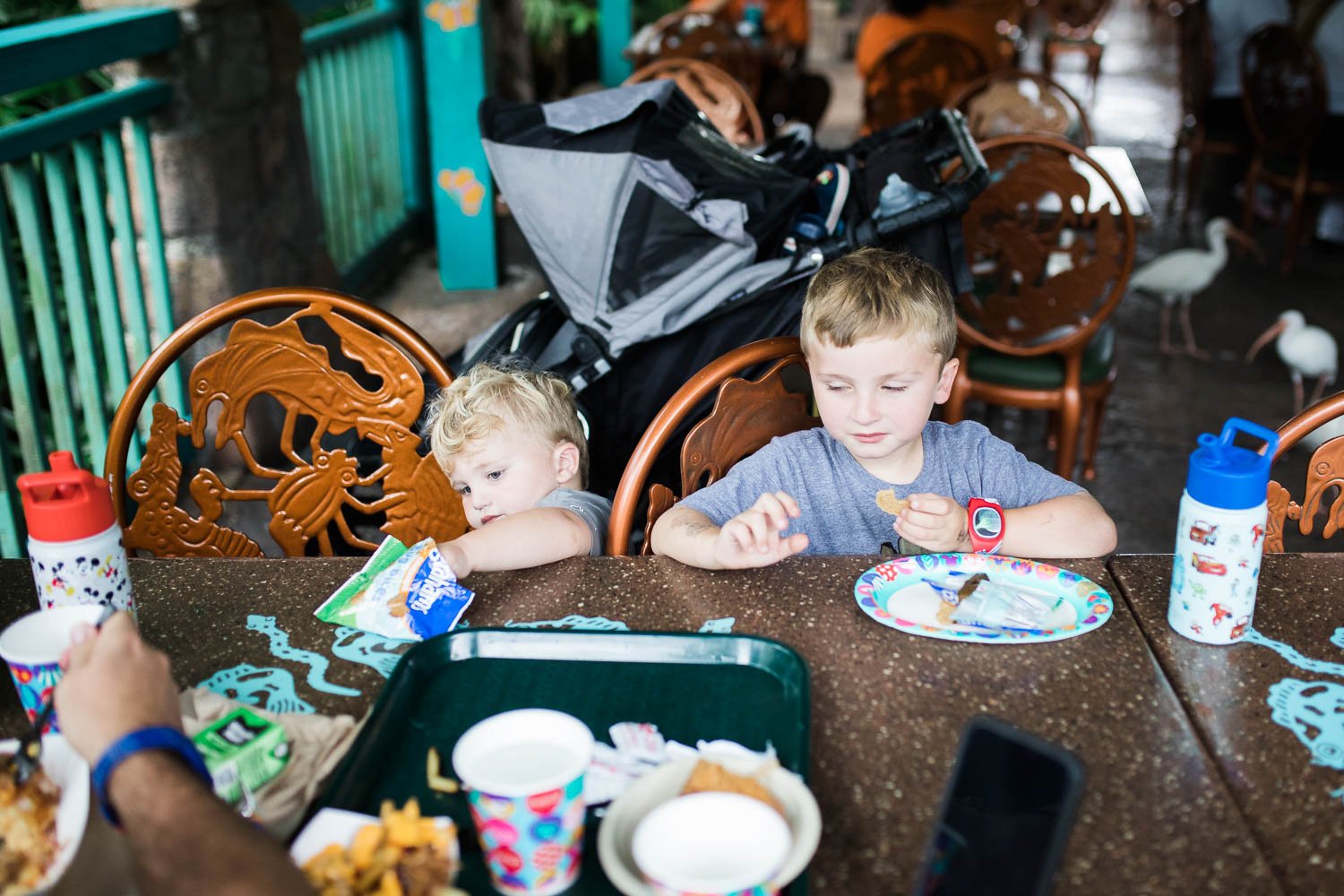 Brothers eat kids meals at Flame Tree BBQ at Animal Kingdom.