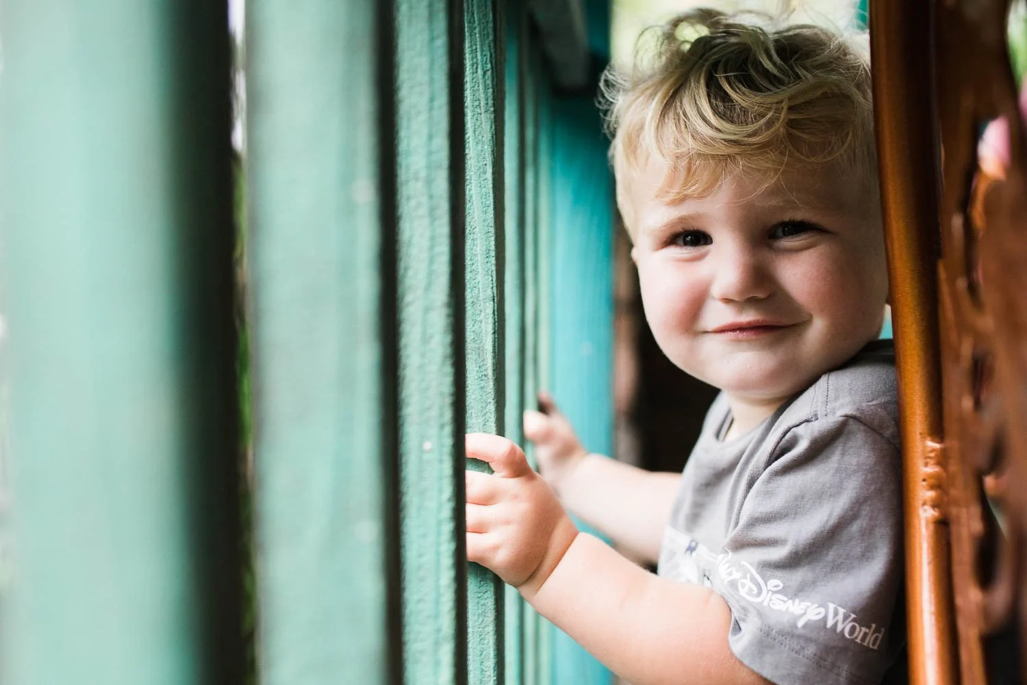 Toddler looks out at the Animal Kingdom.