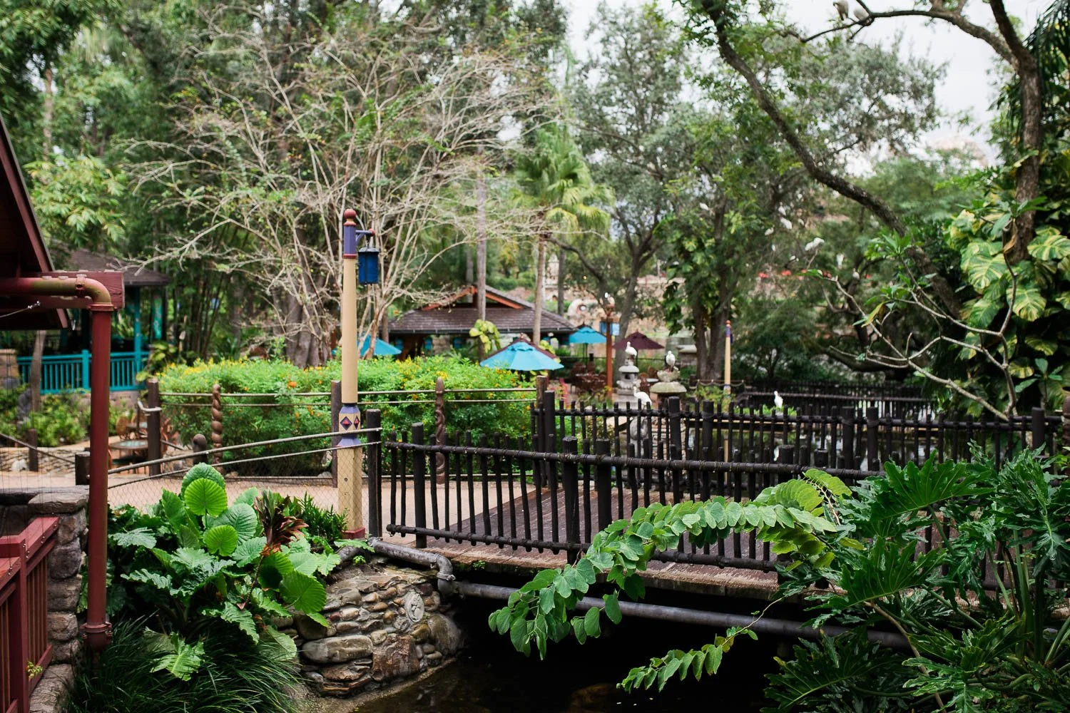 View at Flame Tree BBQ in Discovery Island at the Animal Kingdom.