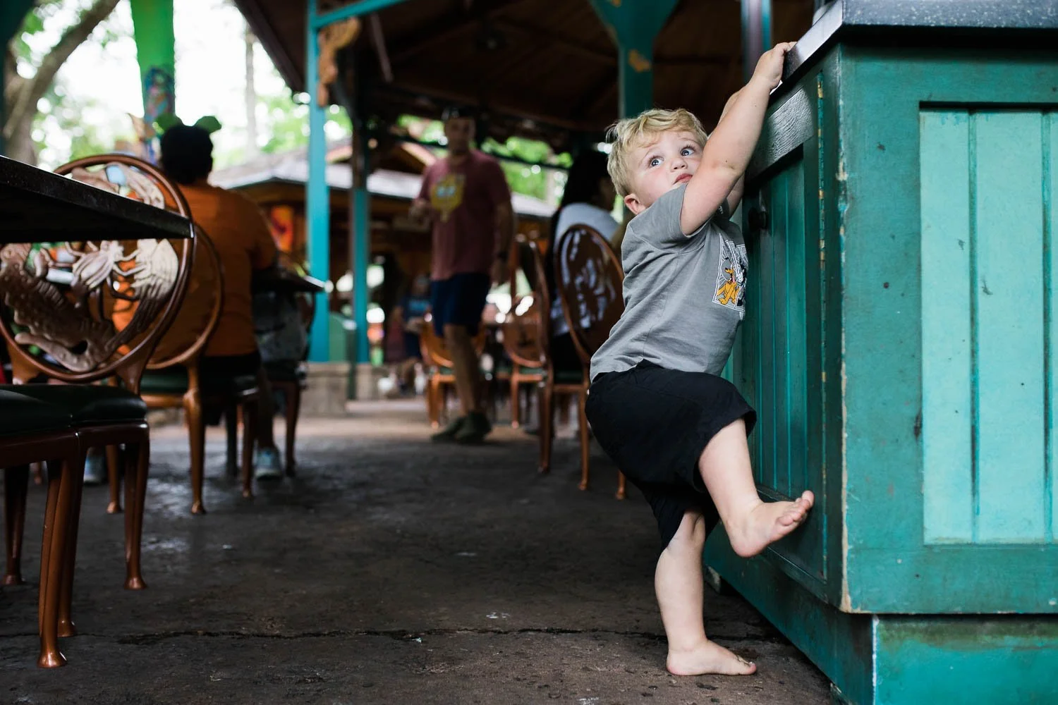 Toddler climbs walls at the Animal Kingdom.