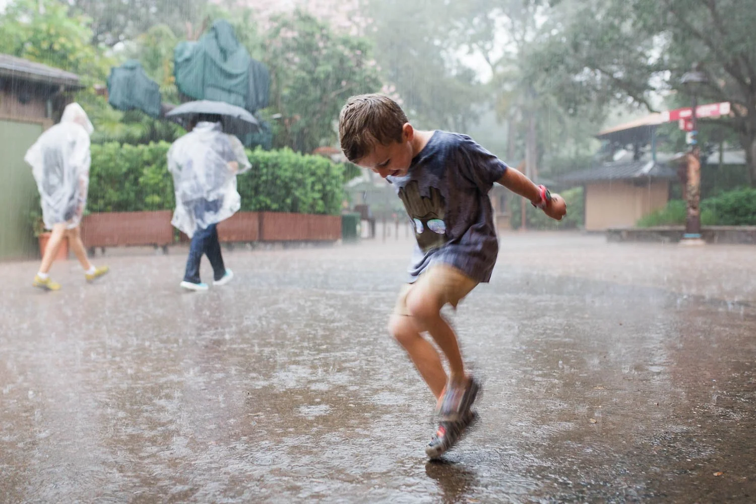 Little boy plays in rain puddles at the Animal Kingdom.
