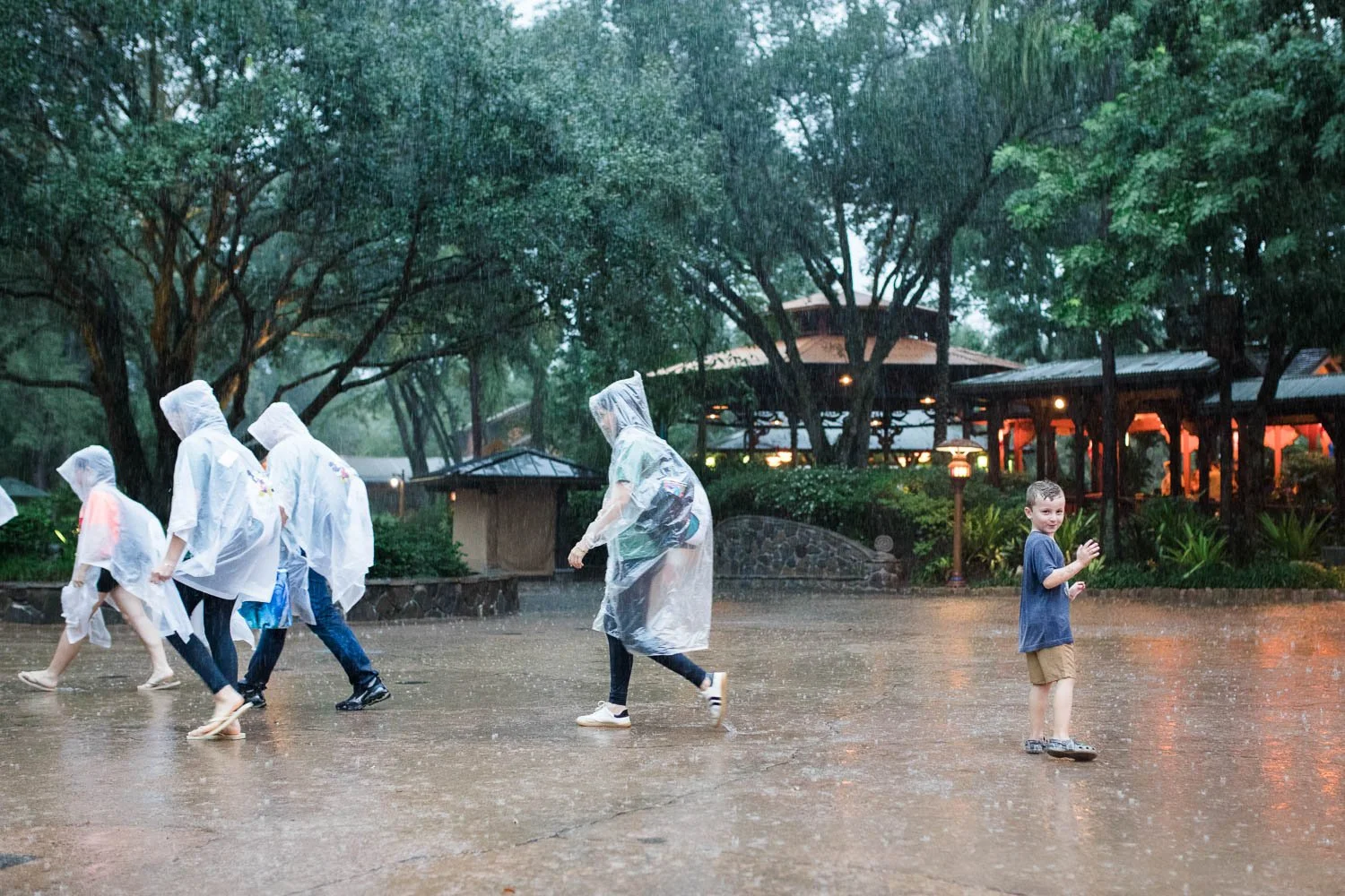 Little boy stands in the rain at the Animal Kingdom while adults walk by in ponchos.