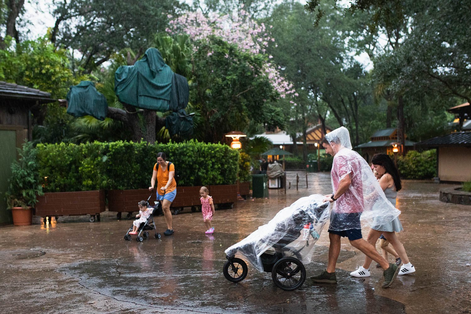 Family in ponchos braves the rain at the Animal Kingdom.