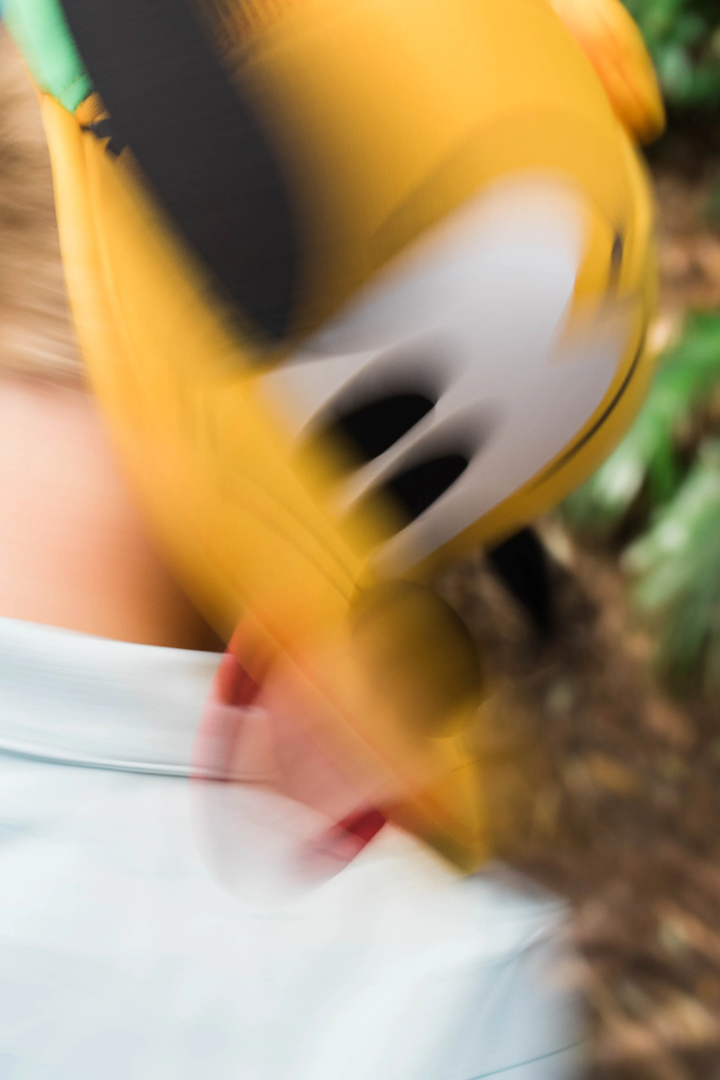 _33A3713.jpg