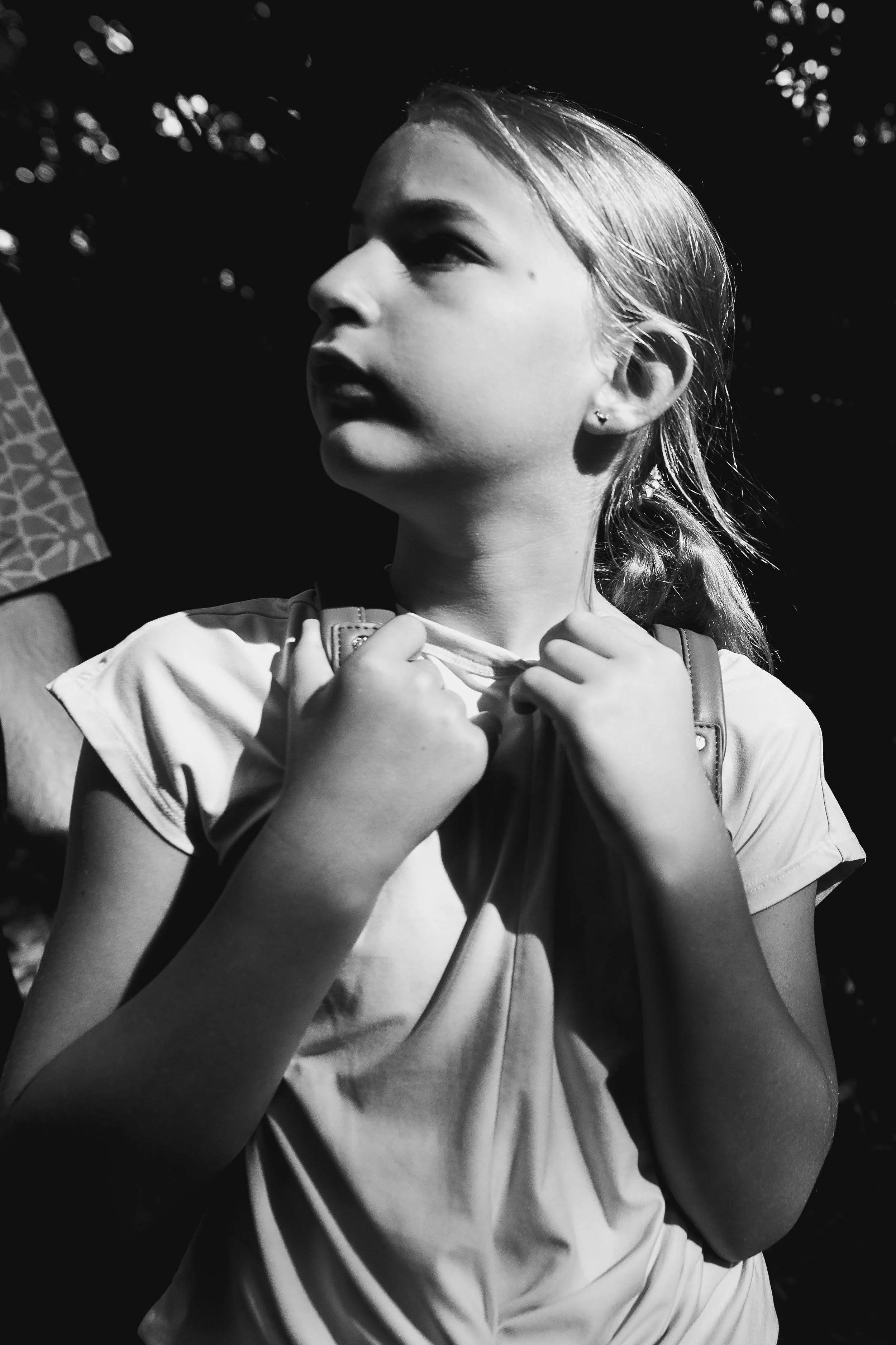 _33A3728-2.jpg