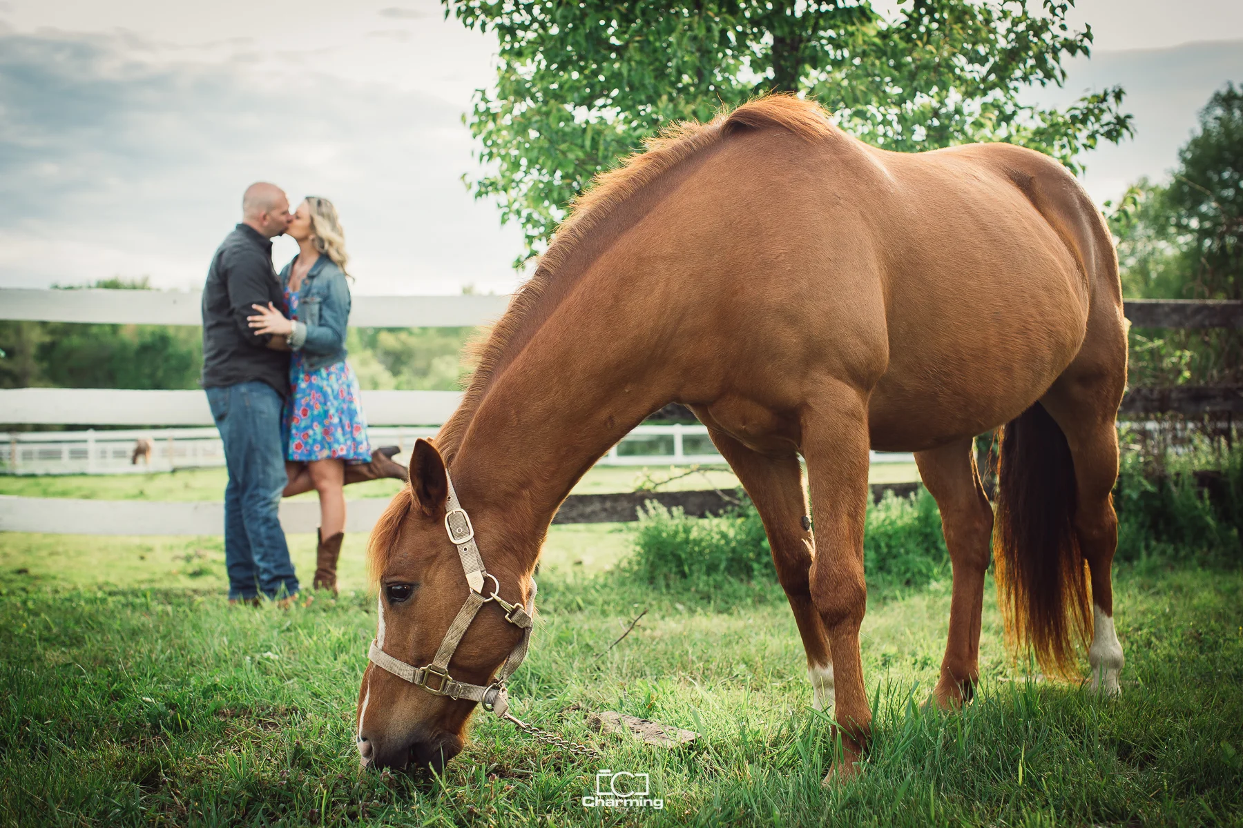 Engagement photography by Charming Images Marcin Pawlowski at Congress Hill Farm-9.jpg